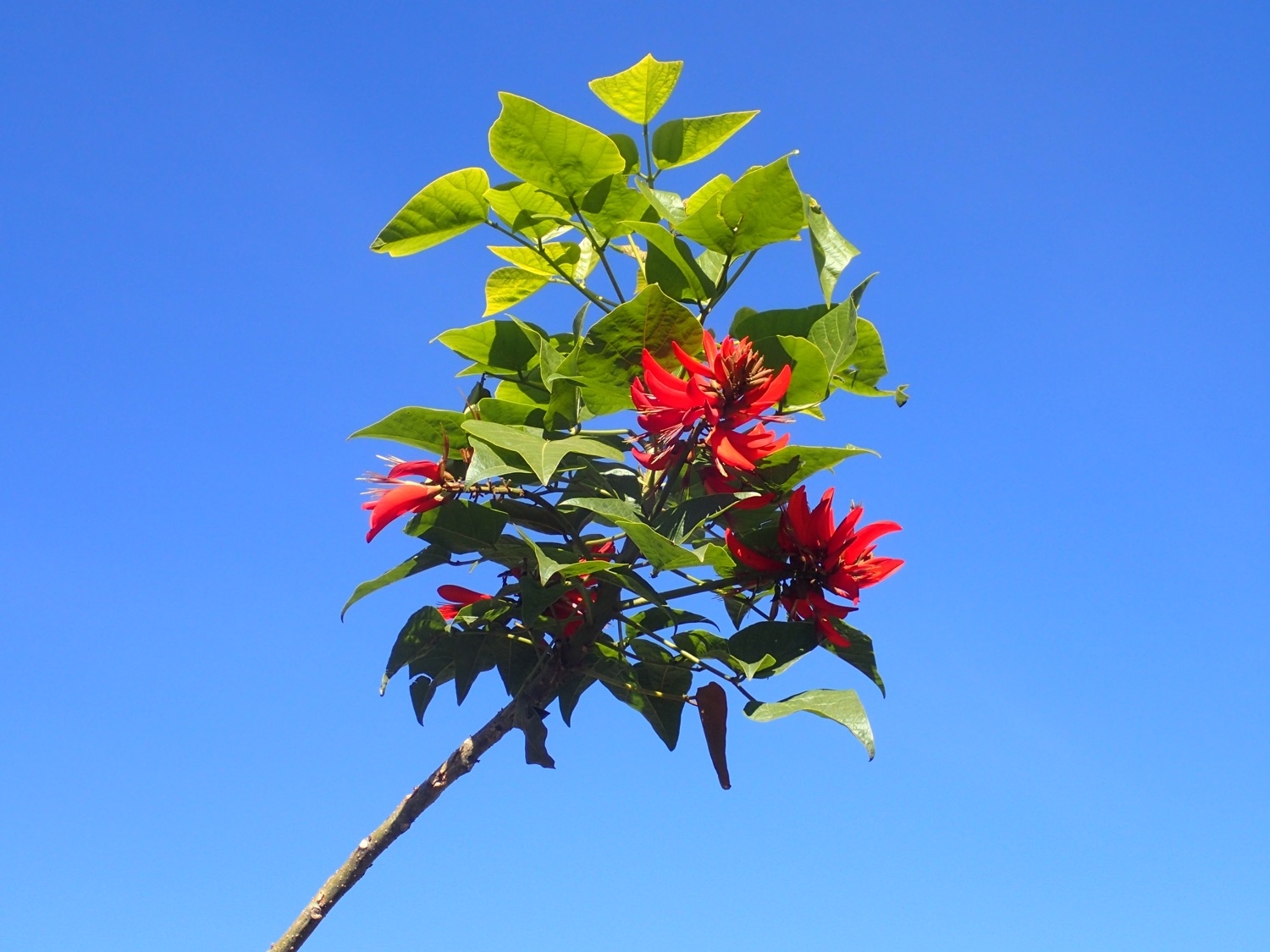 placeholder image-sq