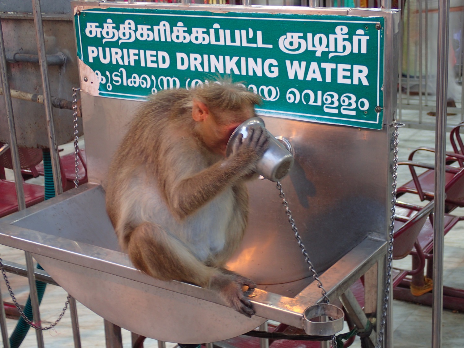 placeholder image-sq