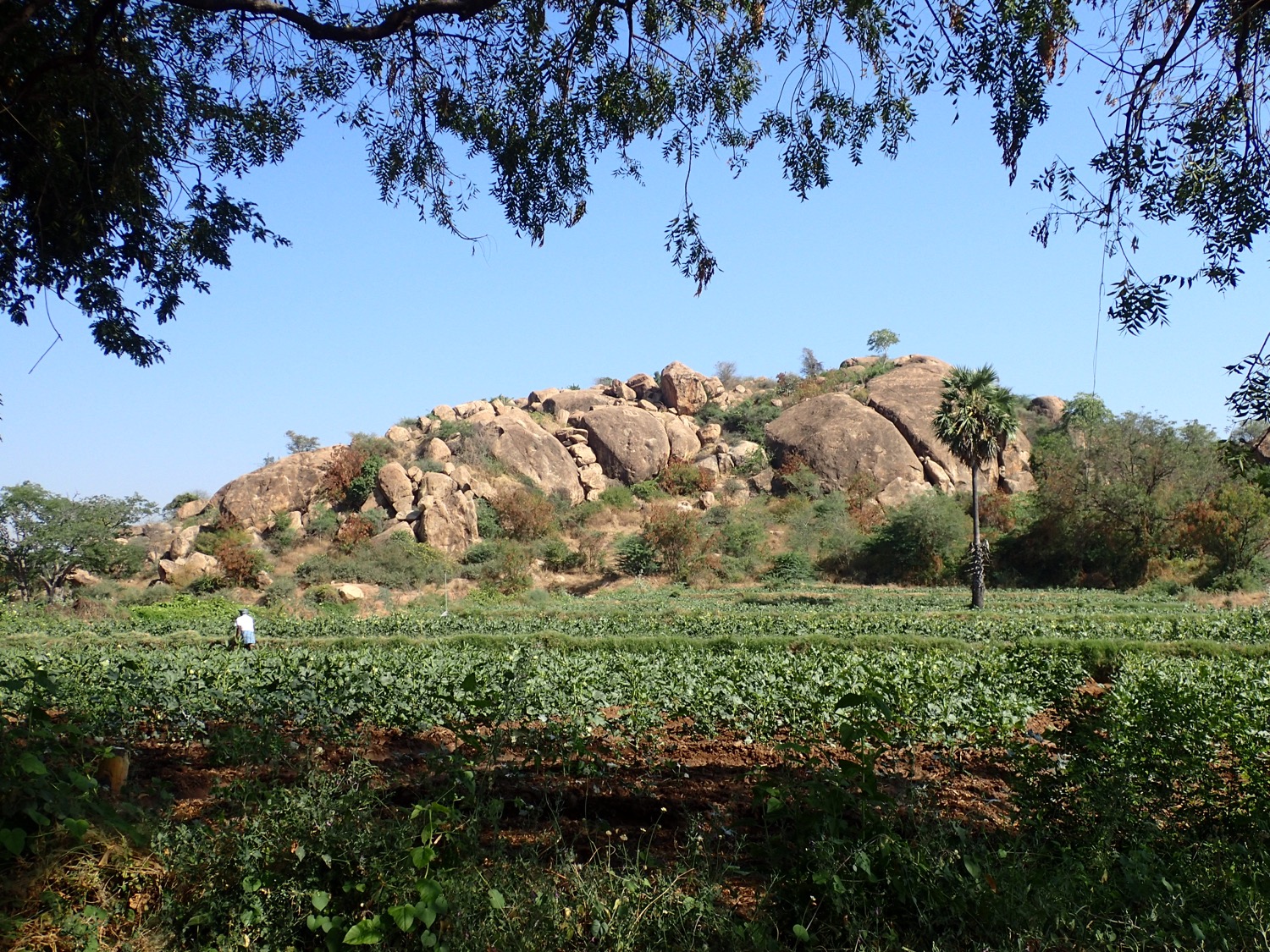 placeholder image-sq