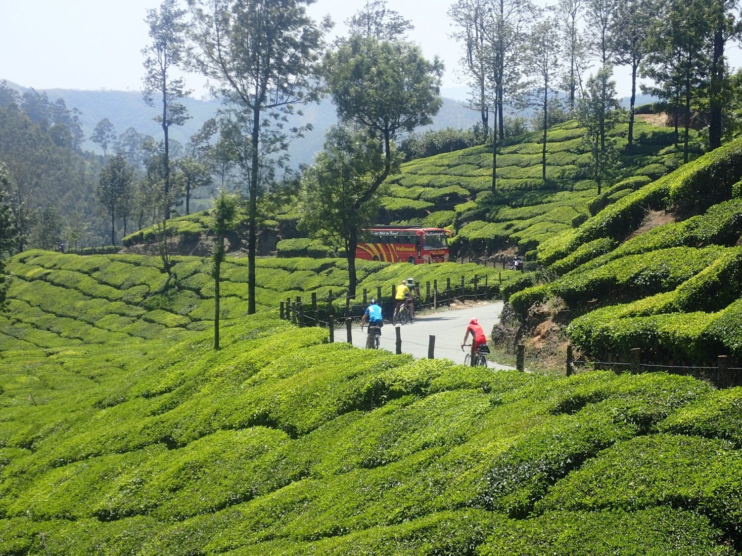 placeholder image-sq