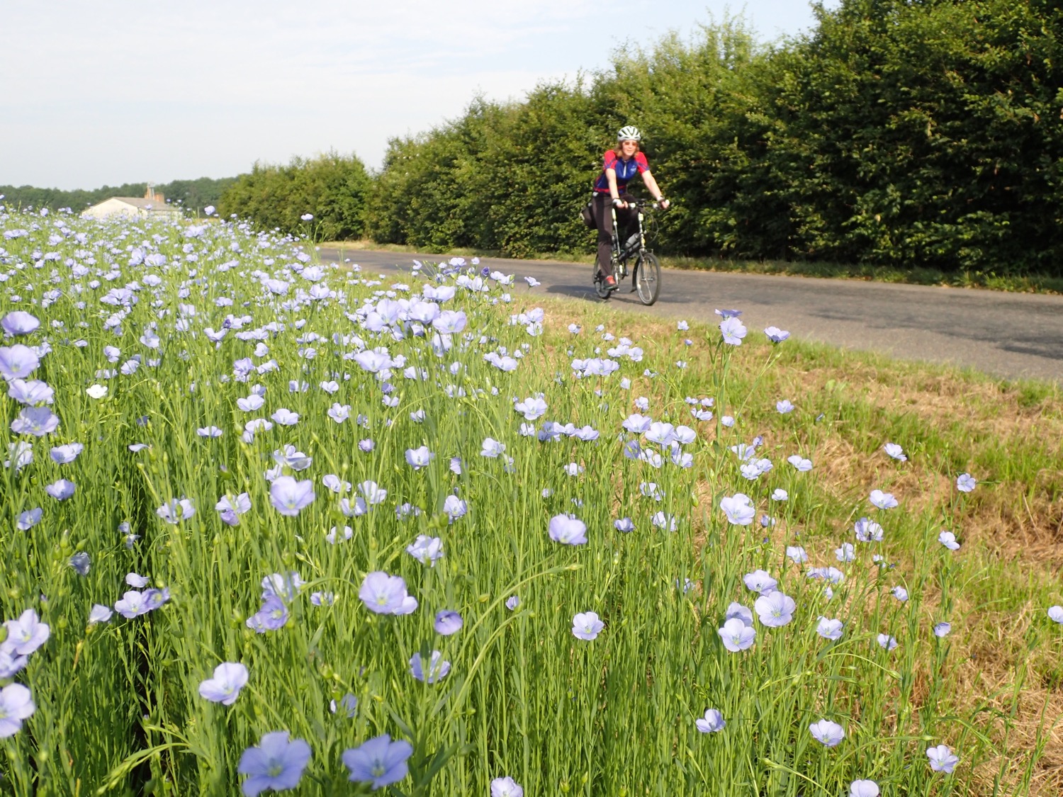 placeholder image-sq