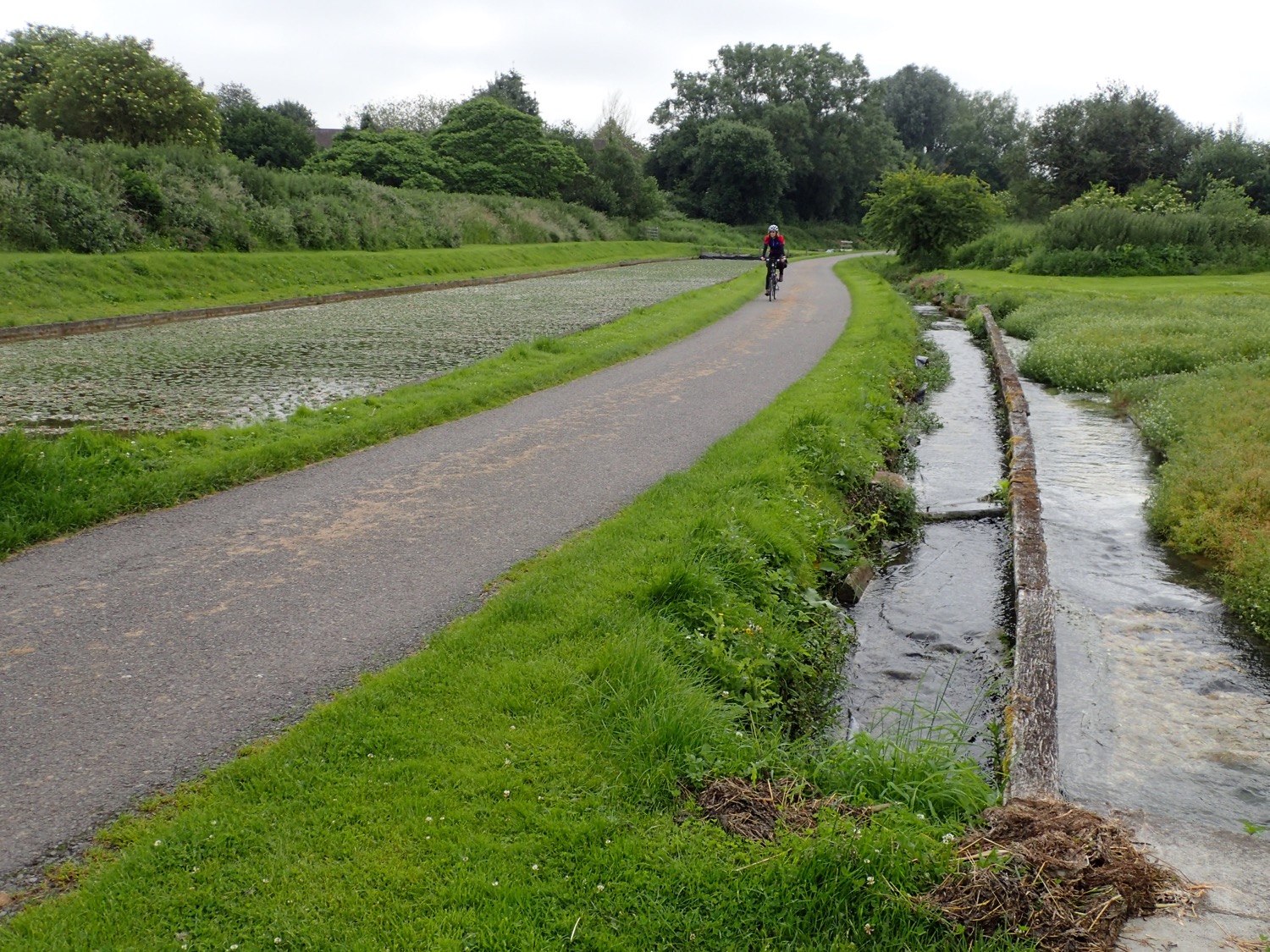 placeholder image-sq