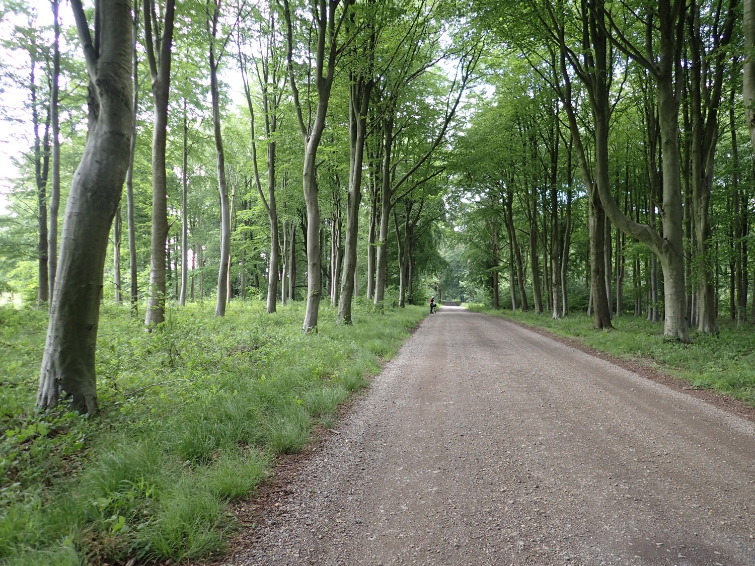 placeholder image-sq