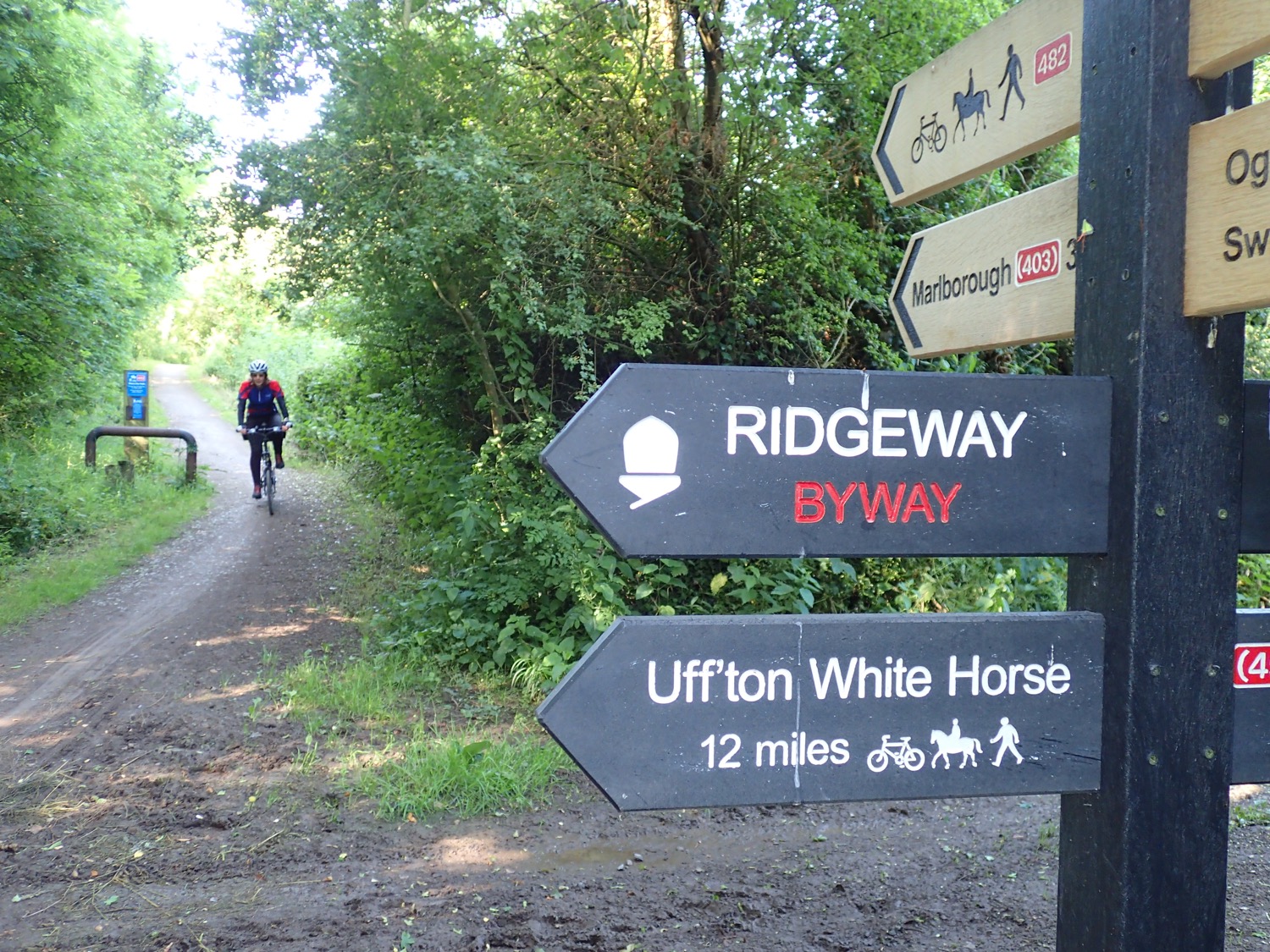 placeholder image-sq