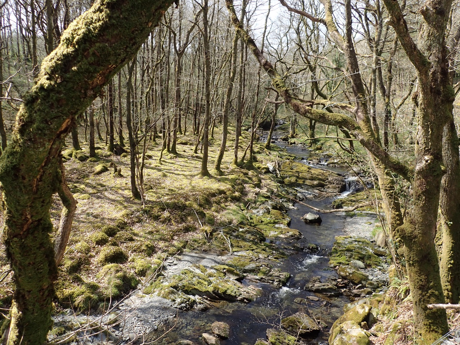 placeholder image-sq