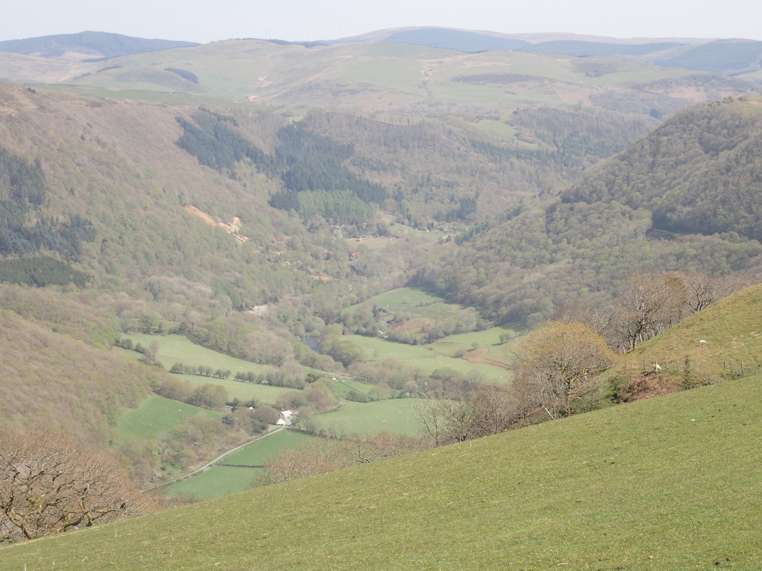 placeholder image-sq