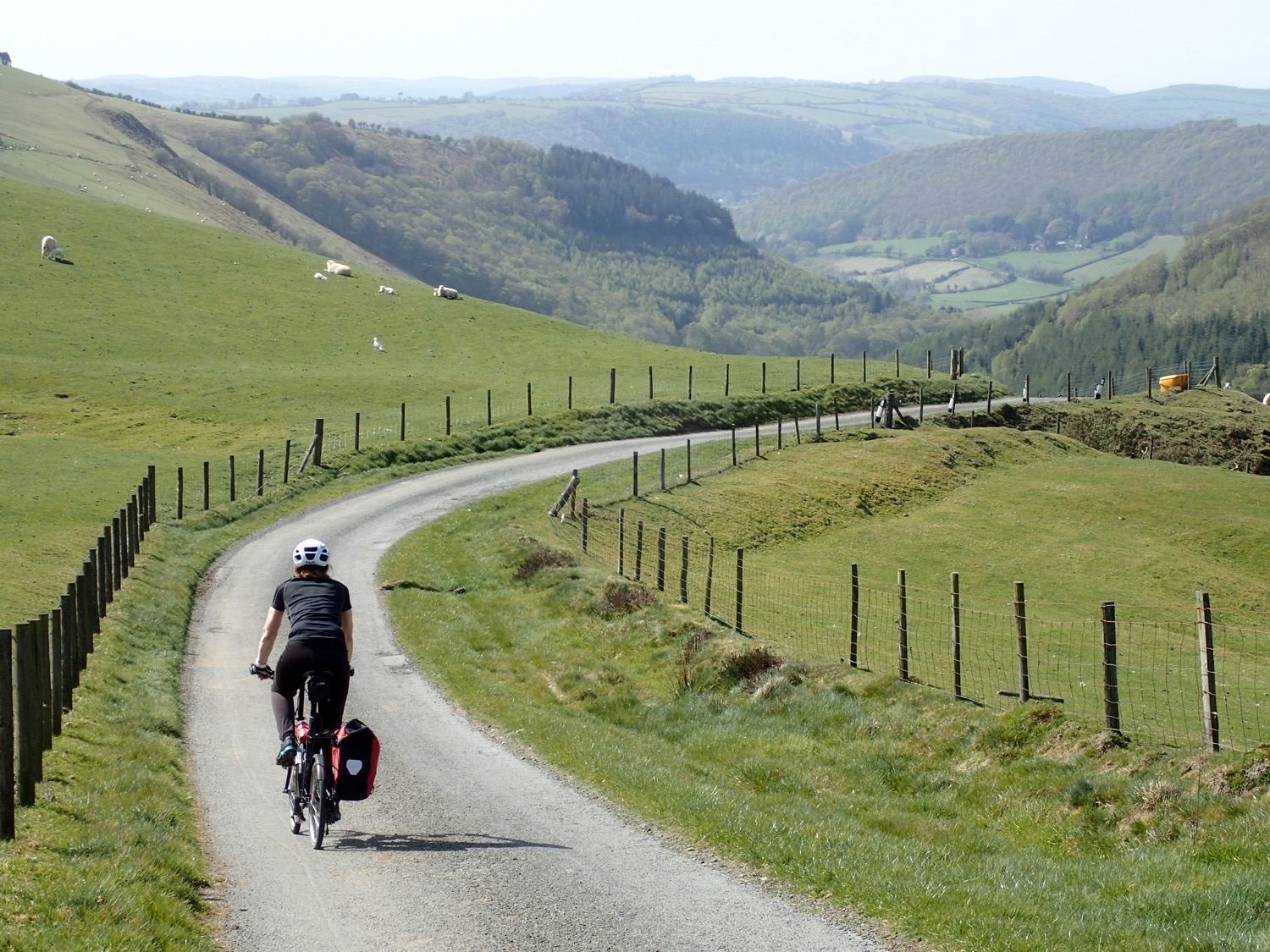 placeholder image-sq