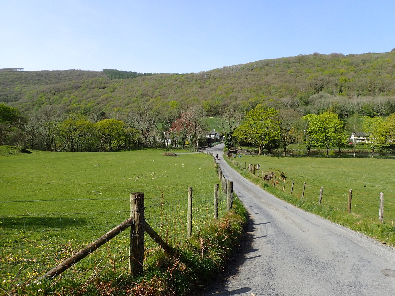 placeholder image-sq