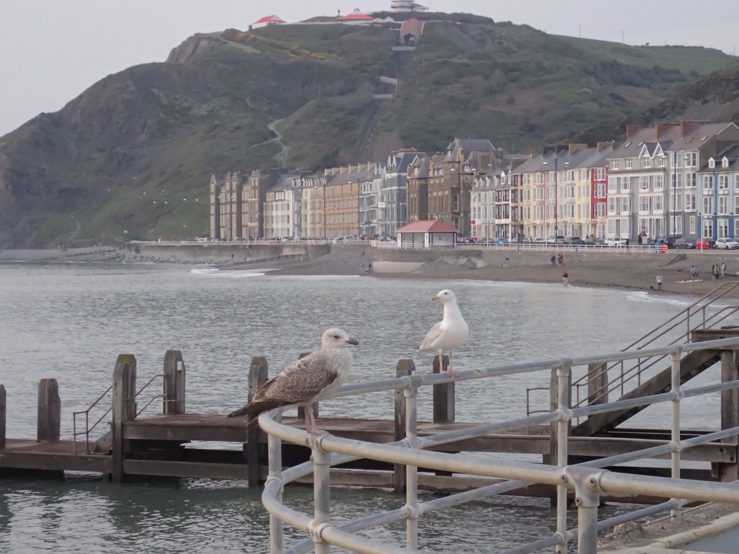 placeholder image-sq