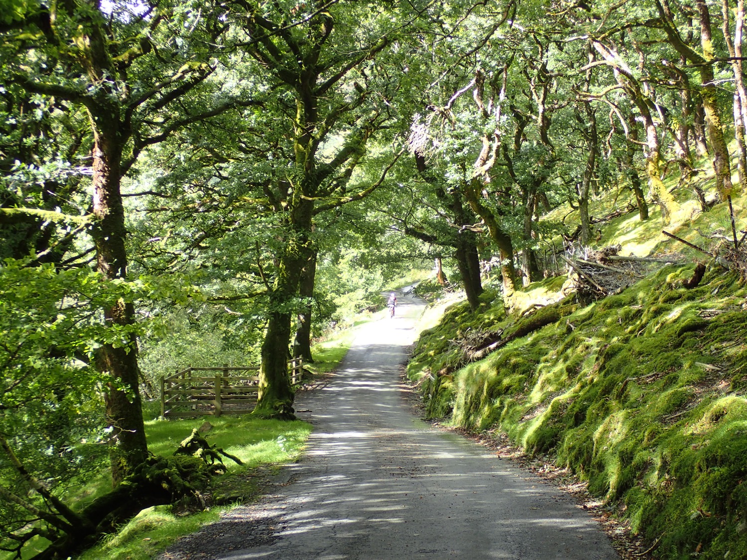 placeholder image-sq