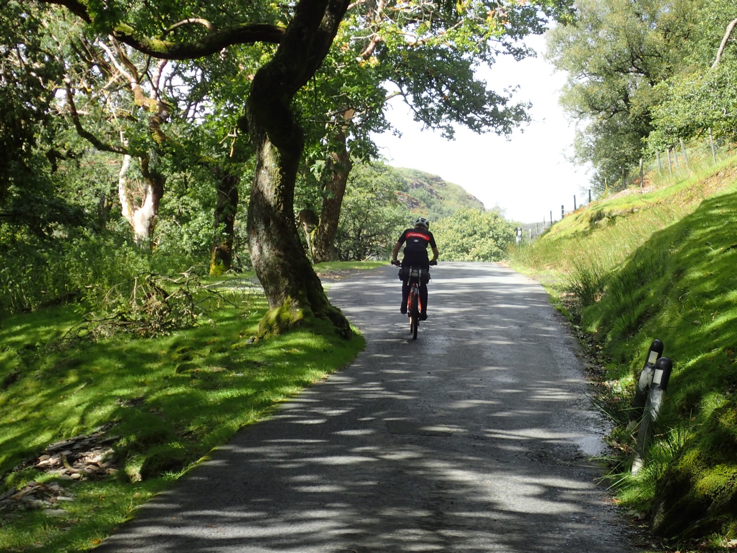 placeholder image-sq