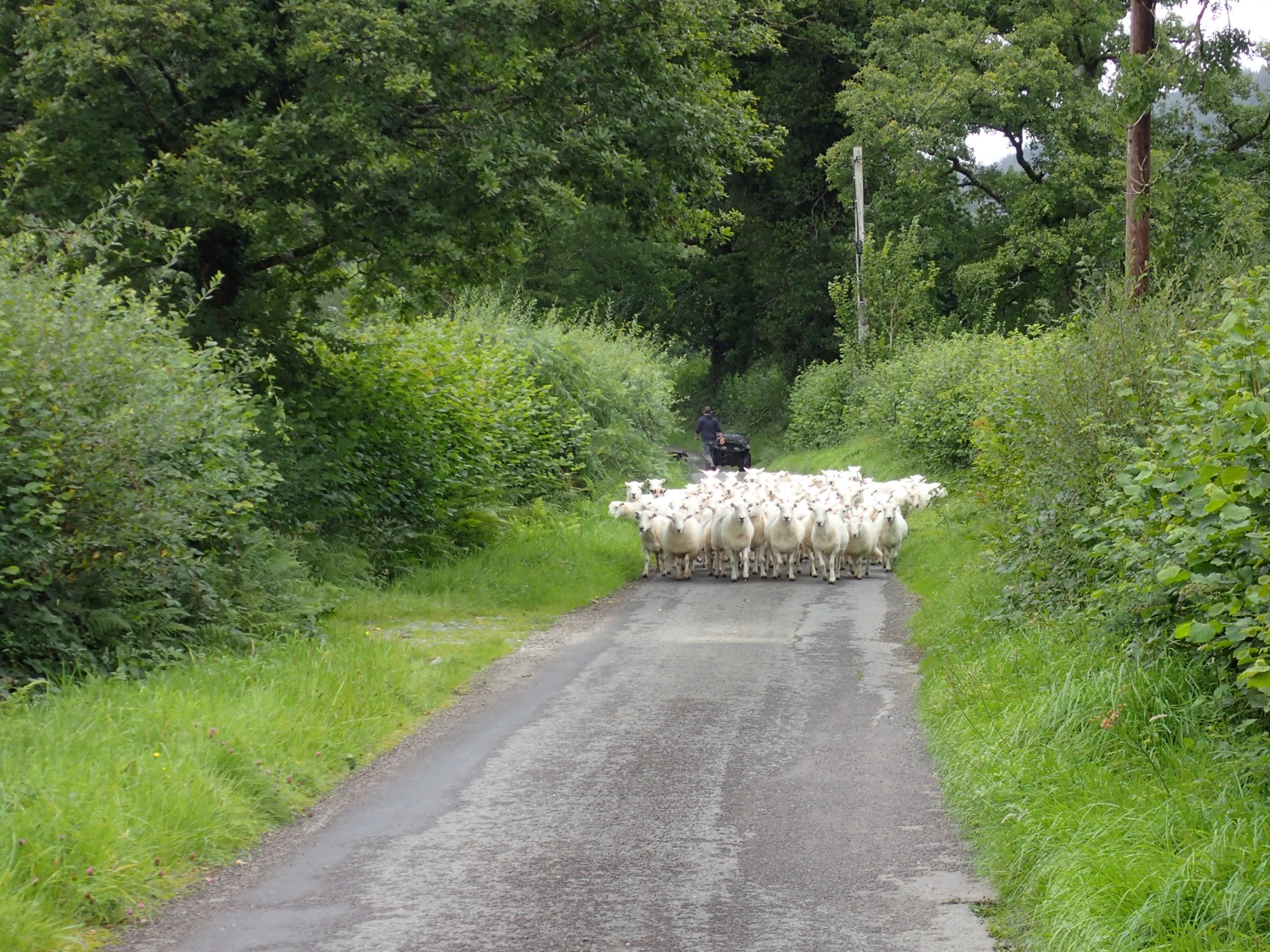 placeholder image-sq