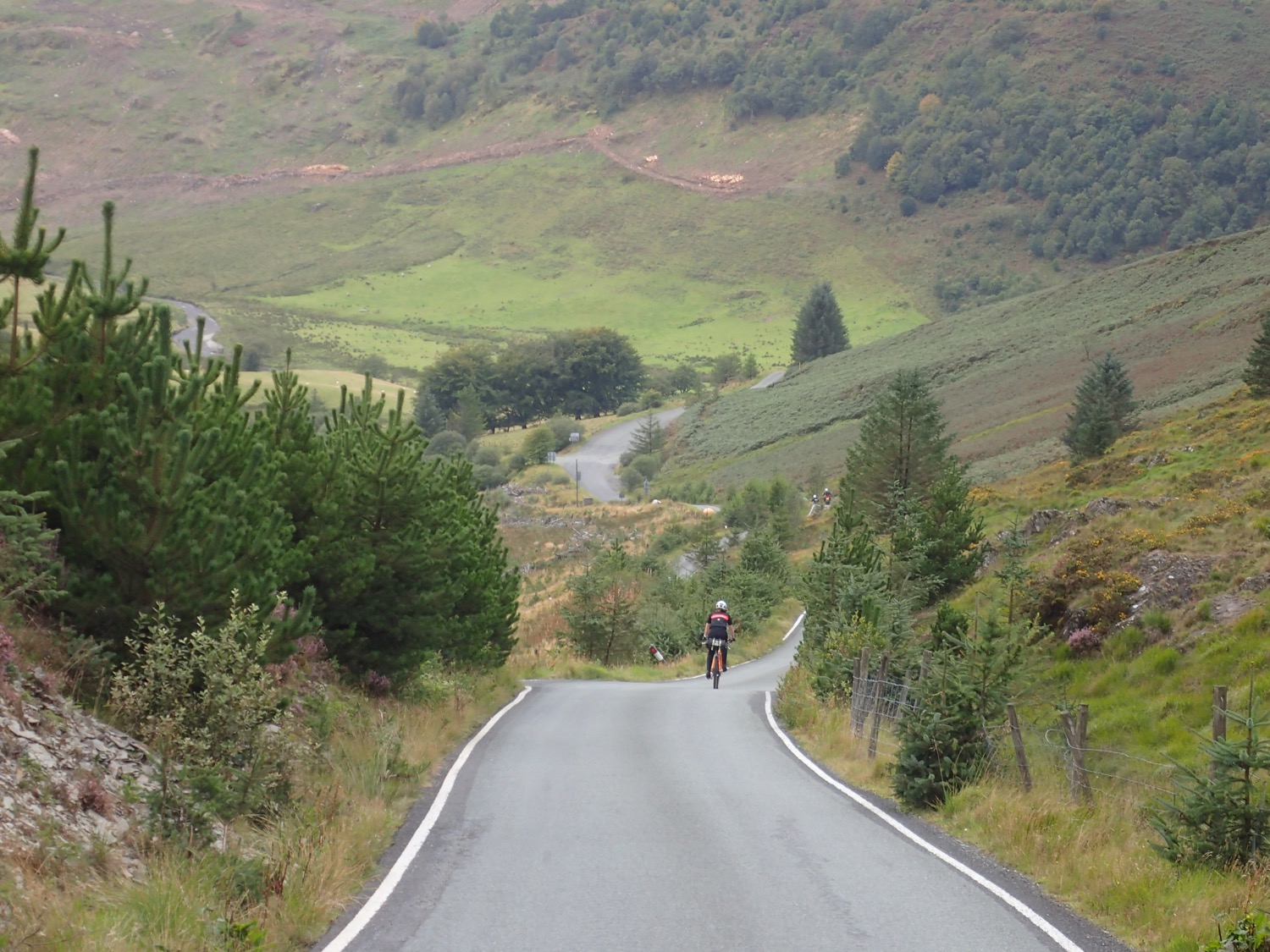 placeholder image-sq