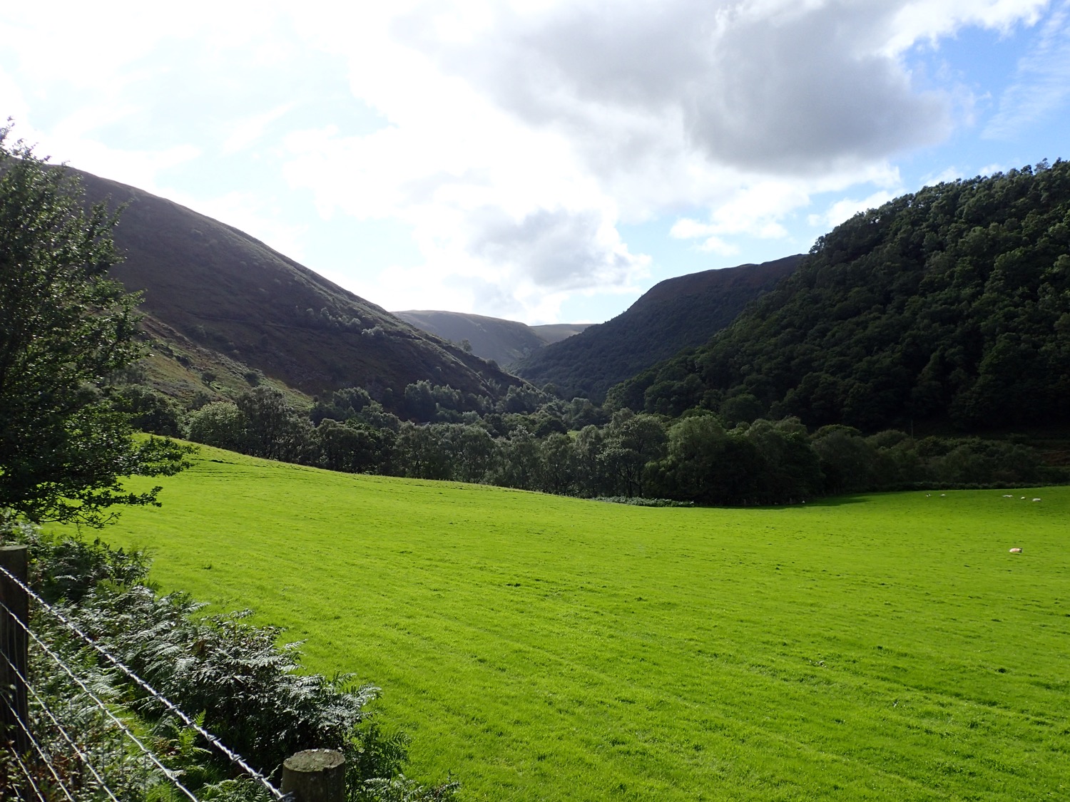 placeholder image-sq