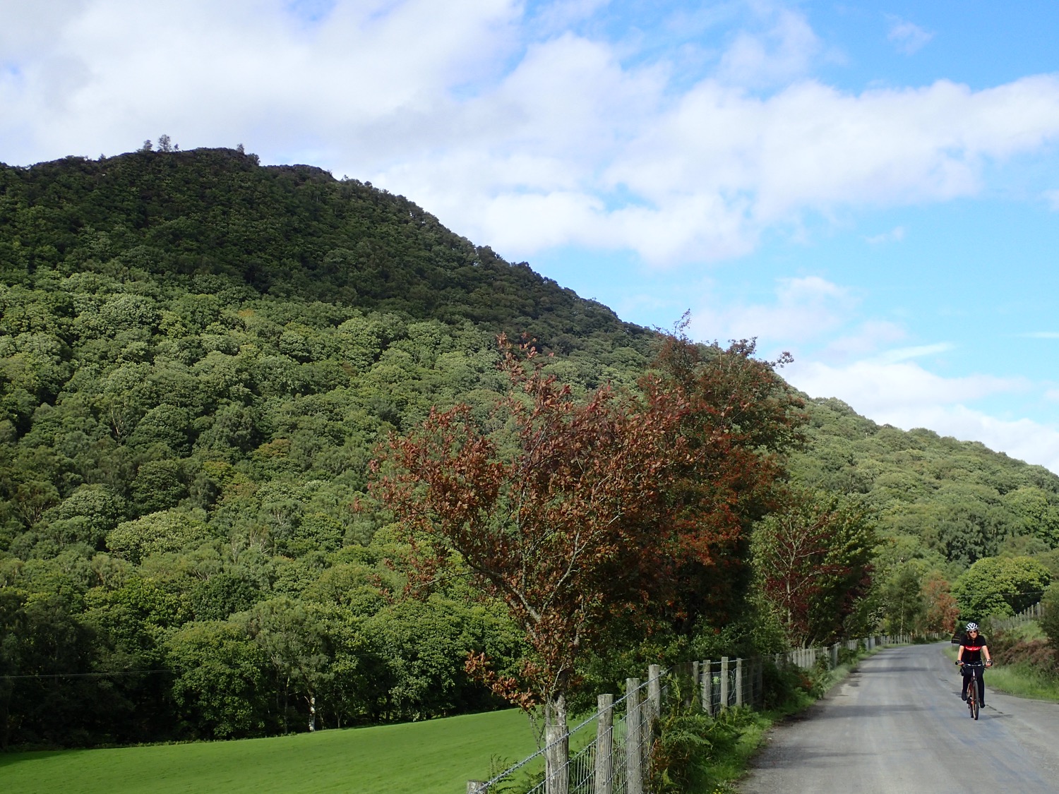 placeholder image-sq