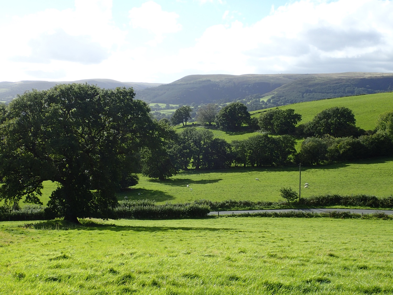 placeholder image-sq