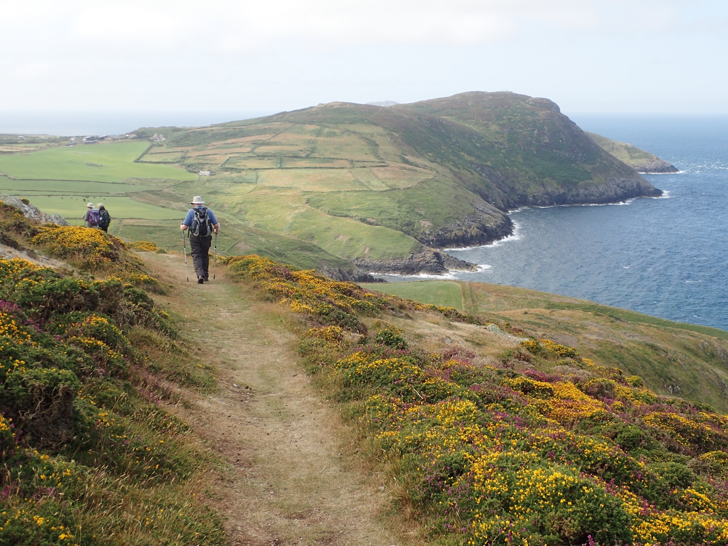 placeholder image-sq