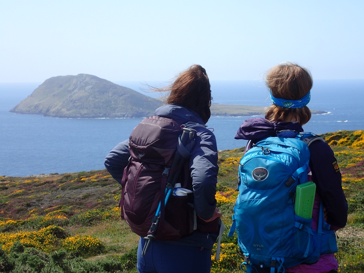 placeholder image-sq