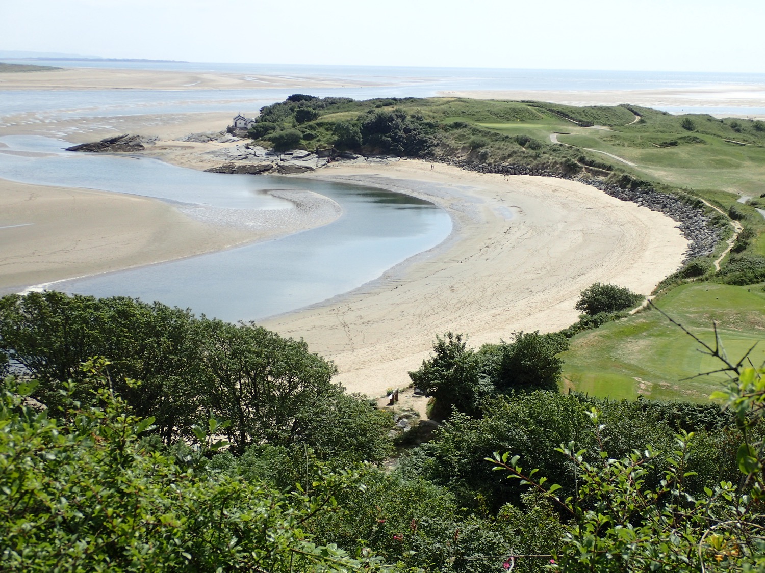 placeholder image-sq