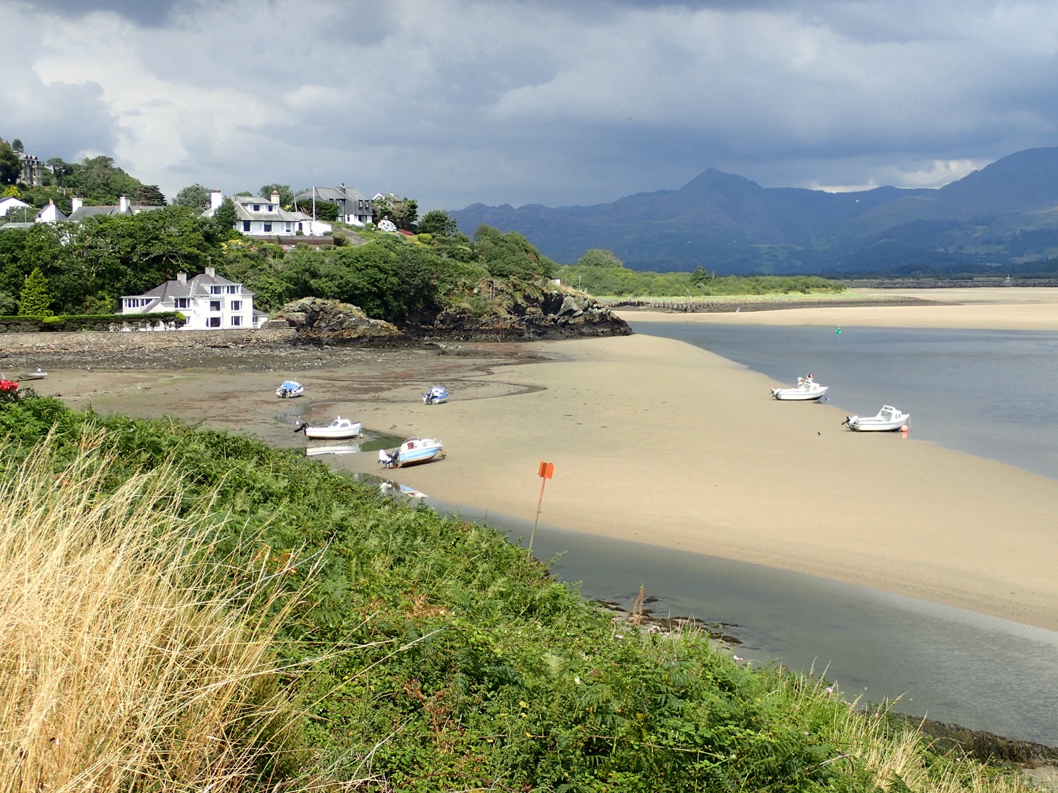 placeholder image-sq