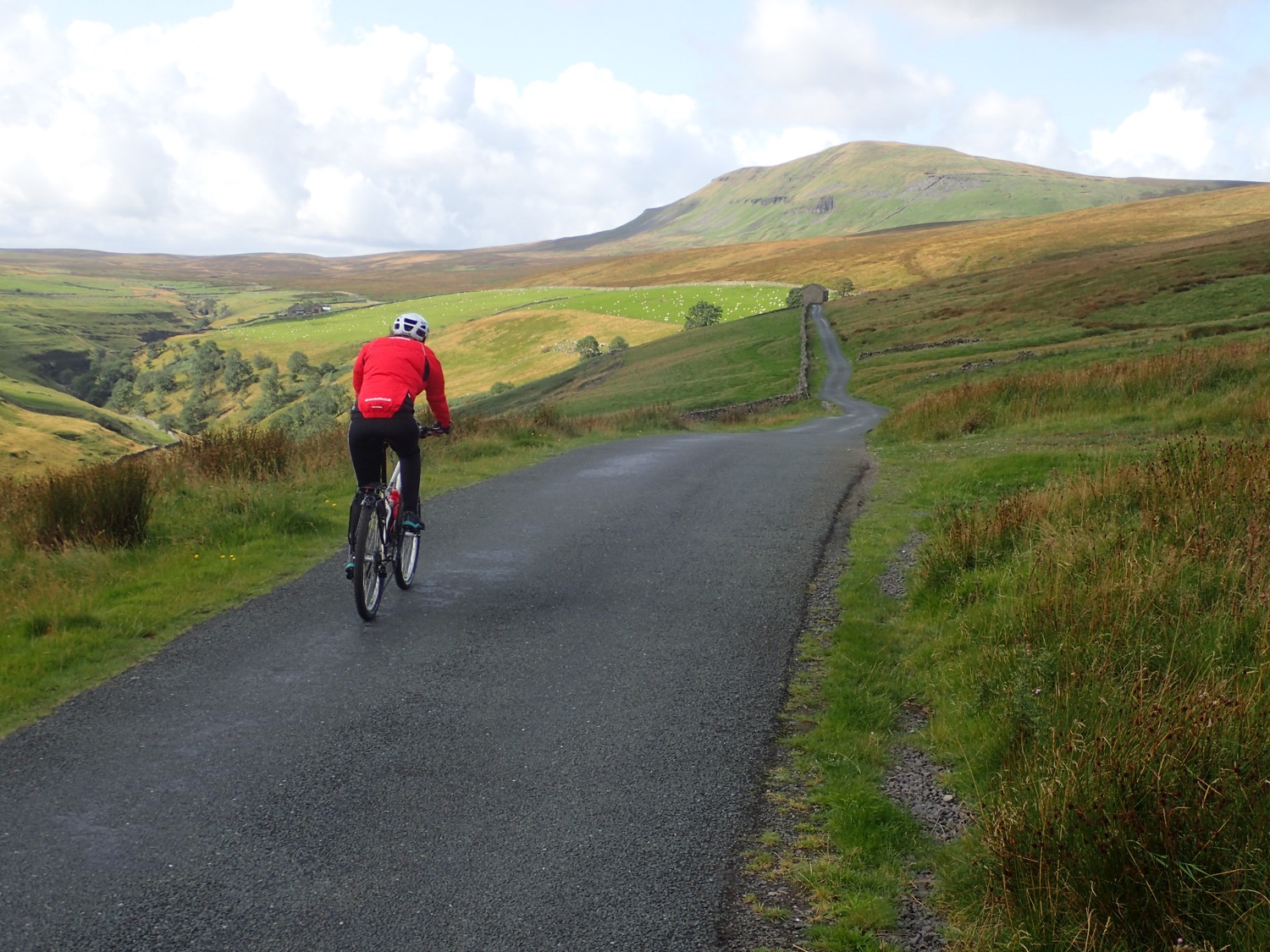 placeholder image-sq