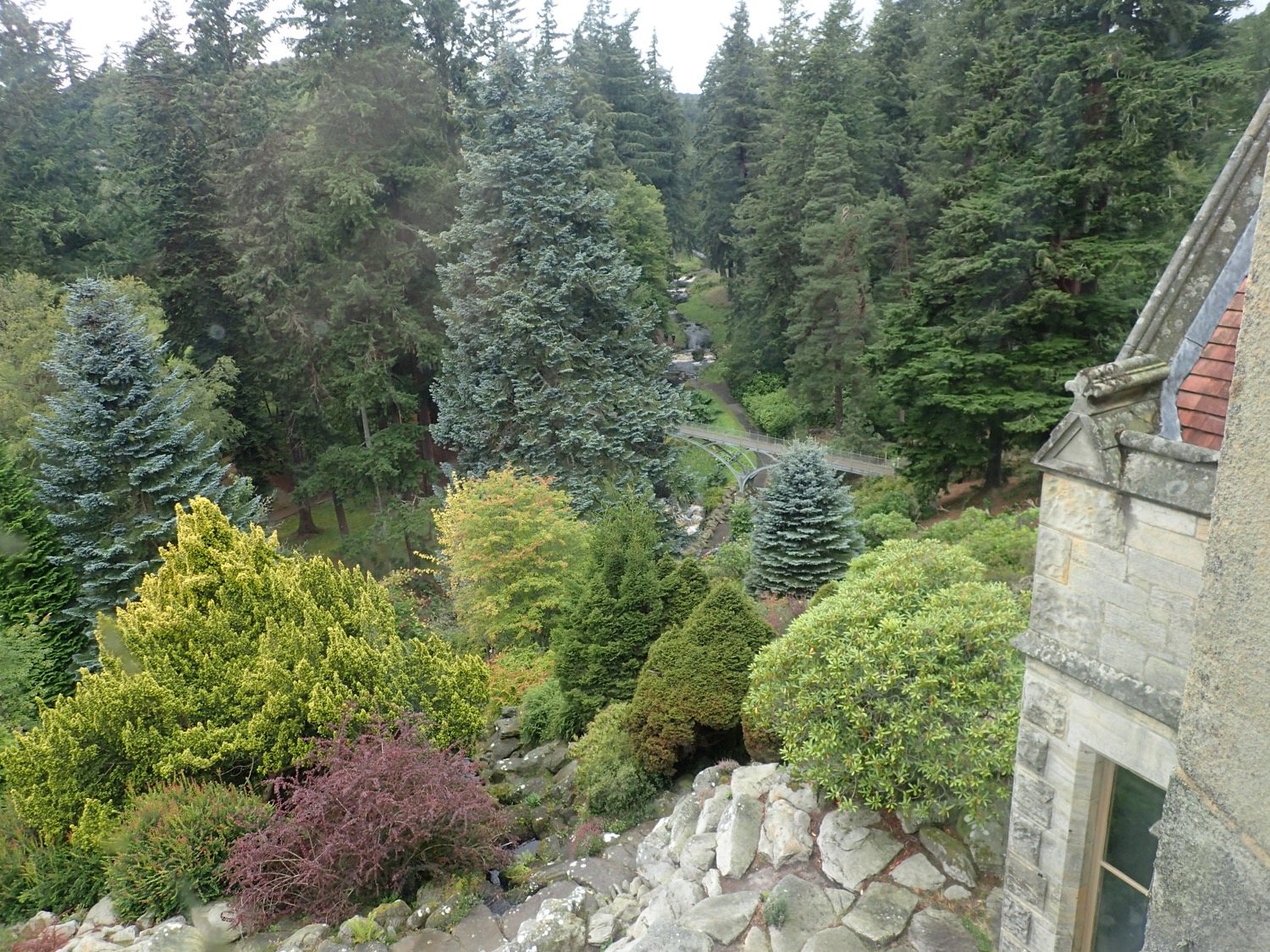 placeholder image-sq