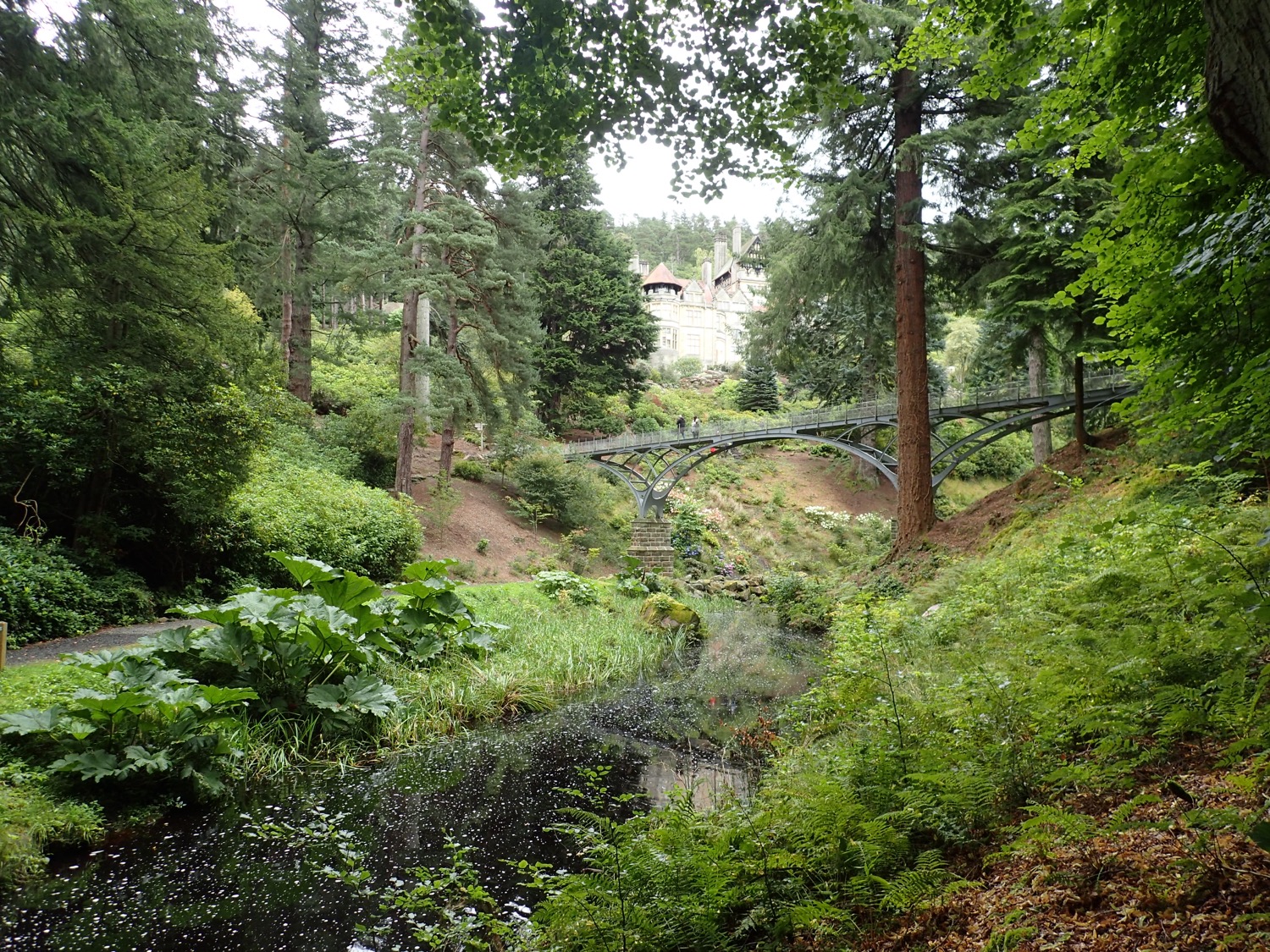 placeholder image-sq