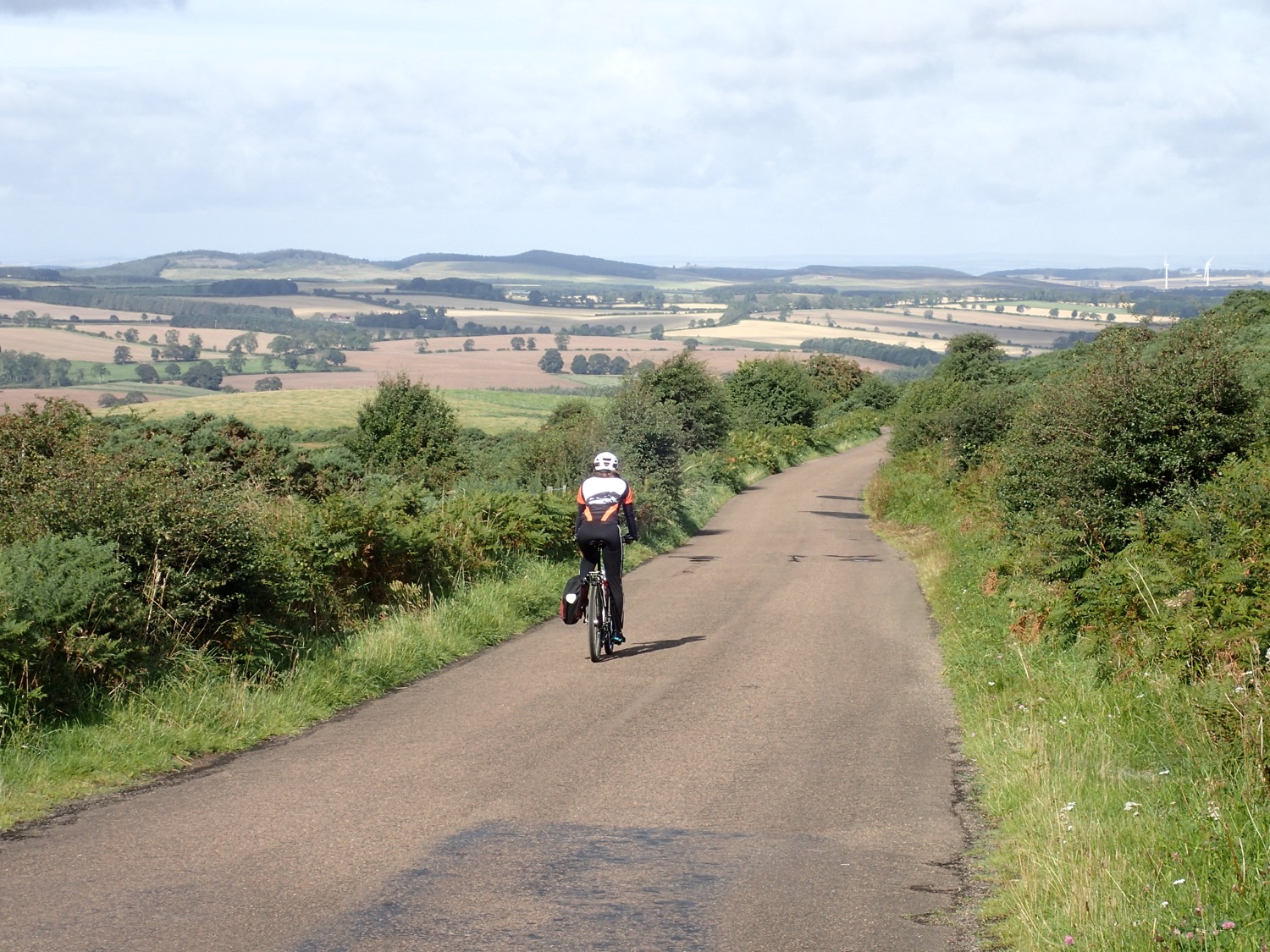 placeholder image-sq