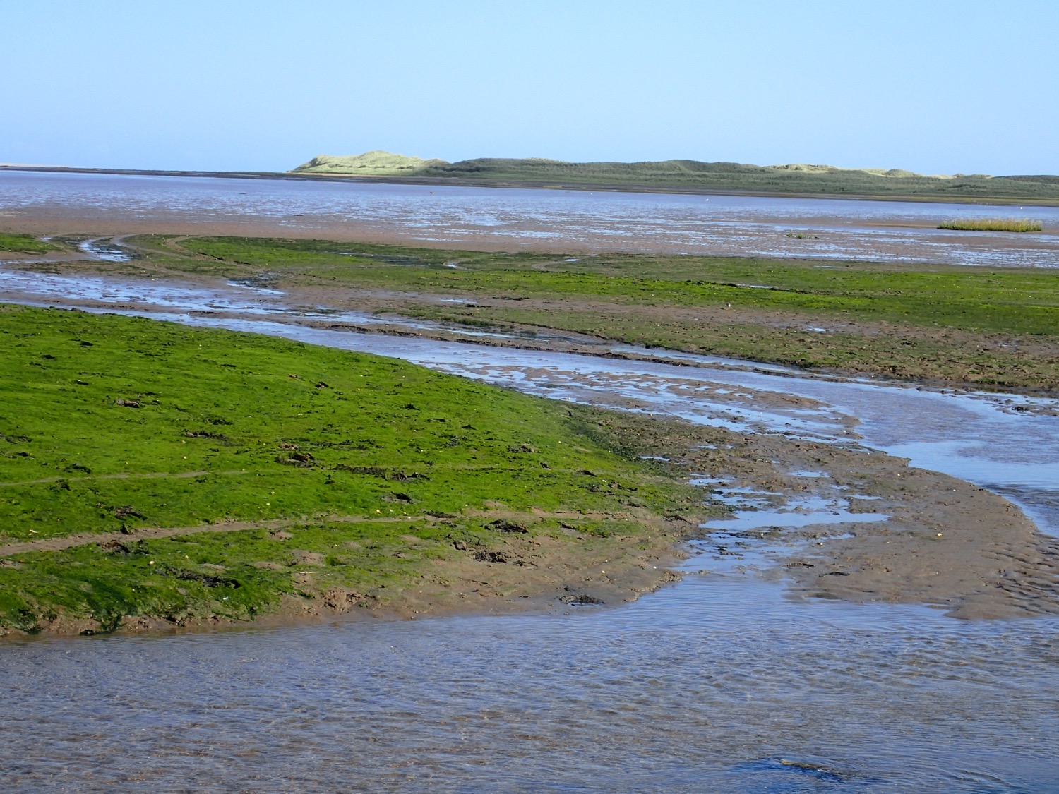 placeholder image-sq