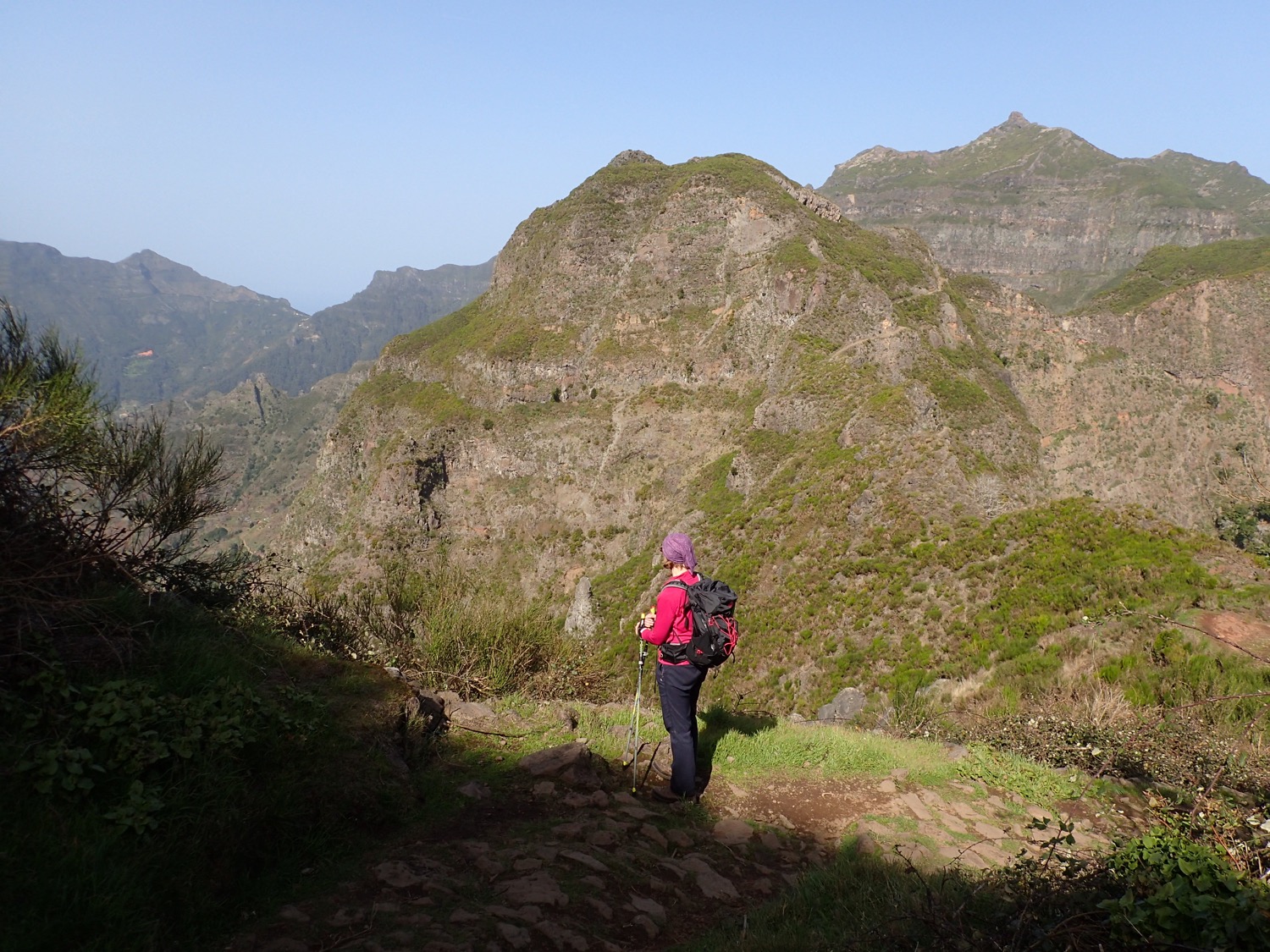 placeholder image-sq