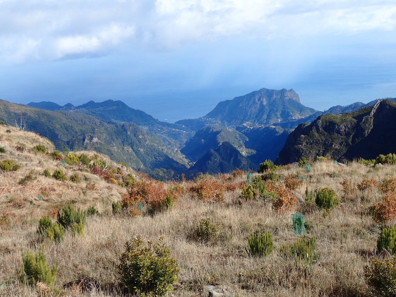 placeholder image-sq