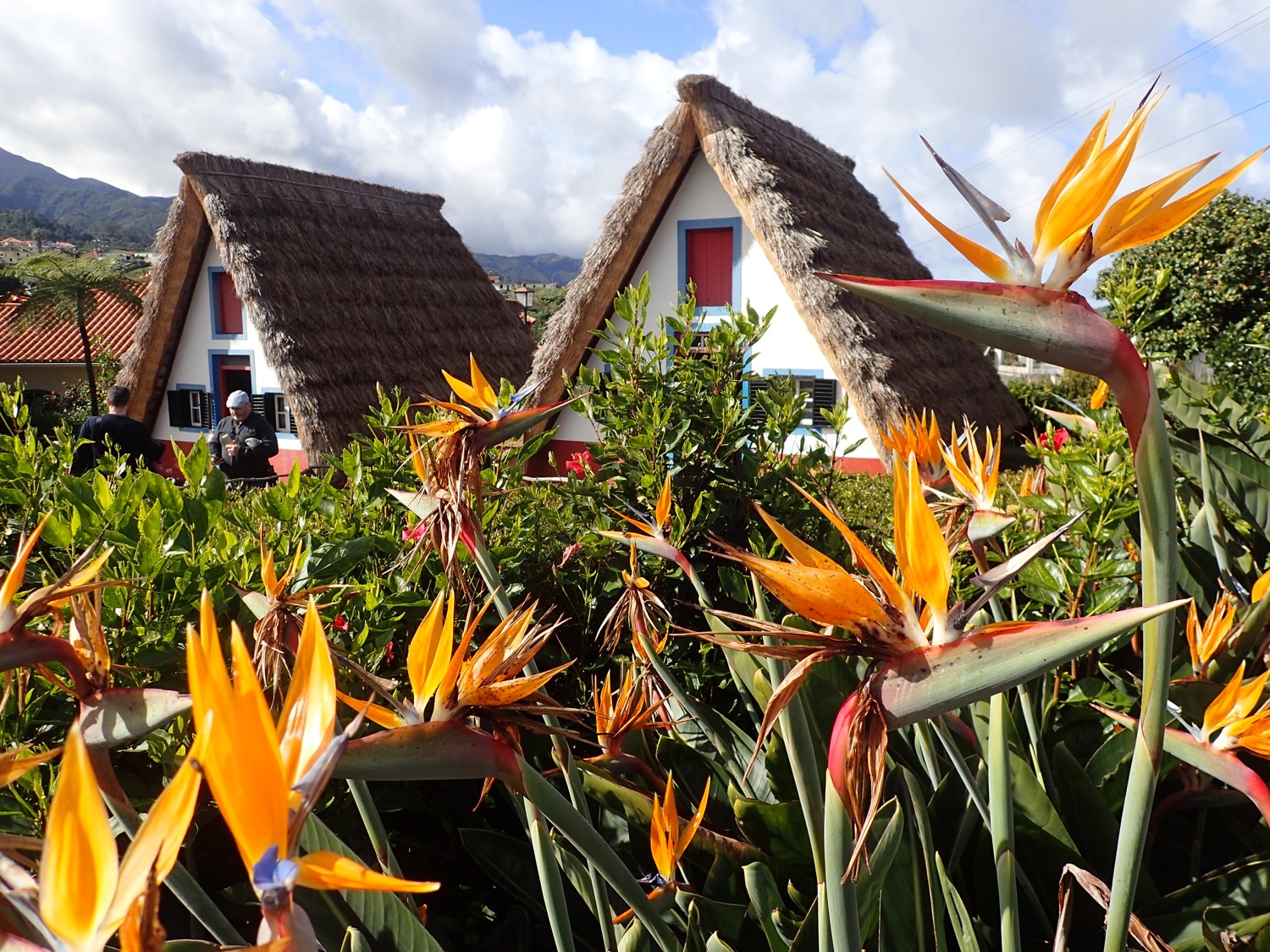 placeholder image-sq