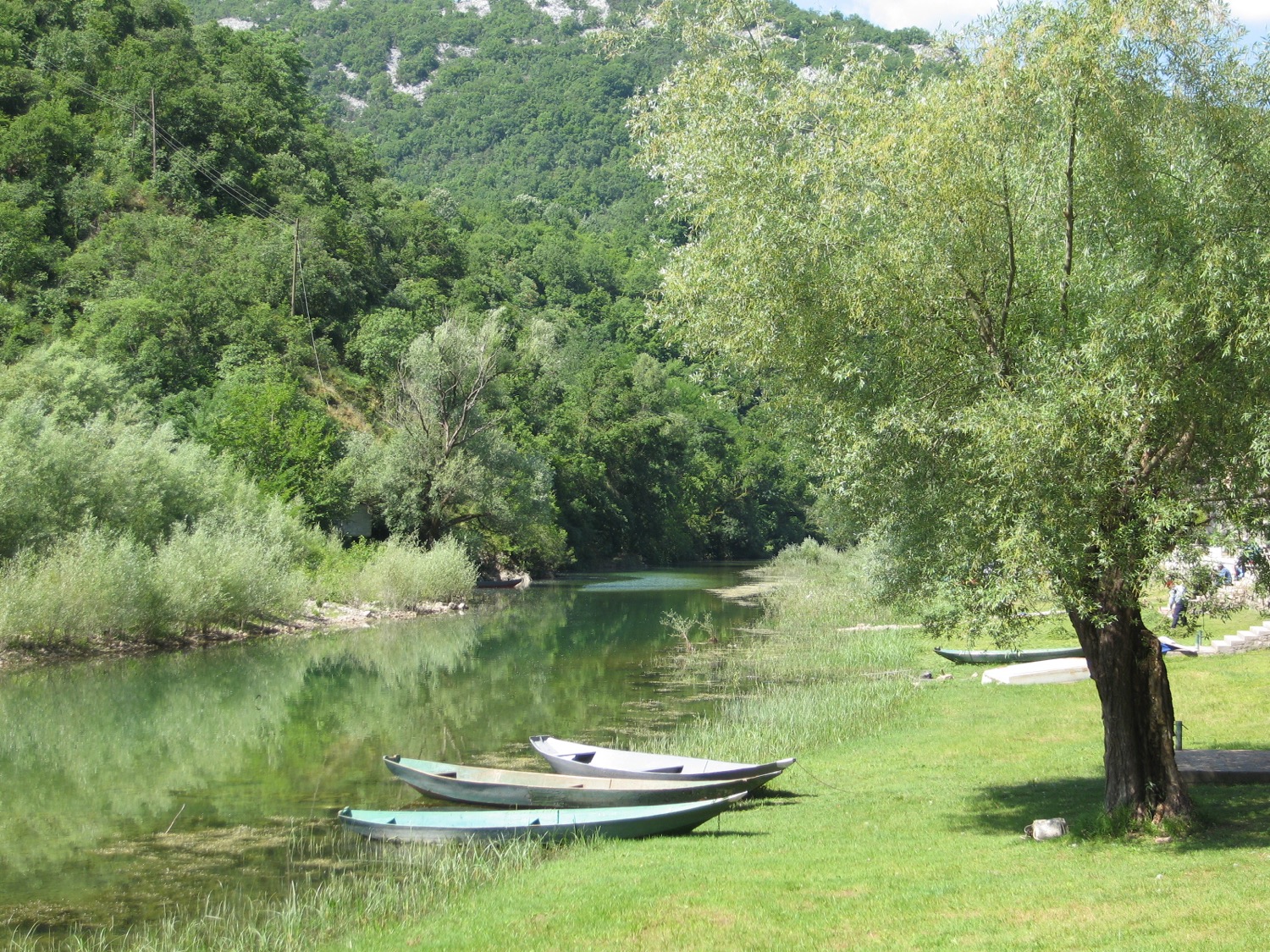 placeholder image-sq