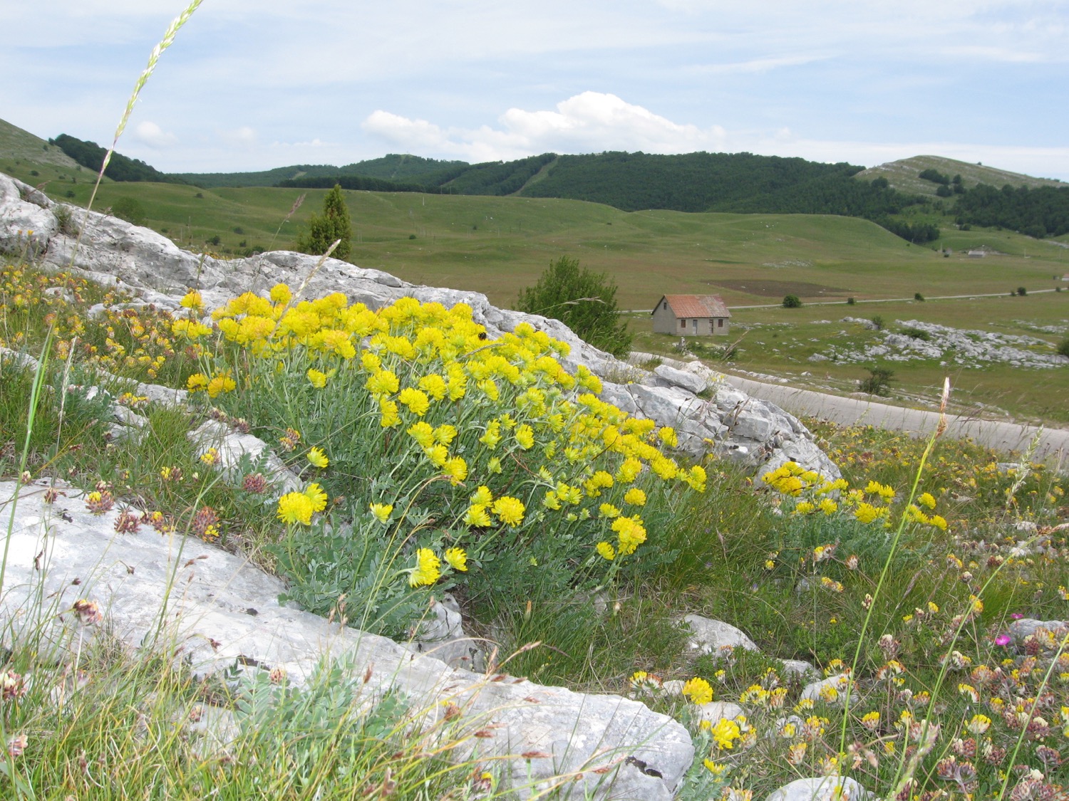 placeholder image-sq