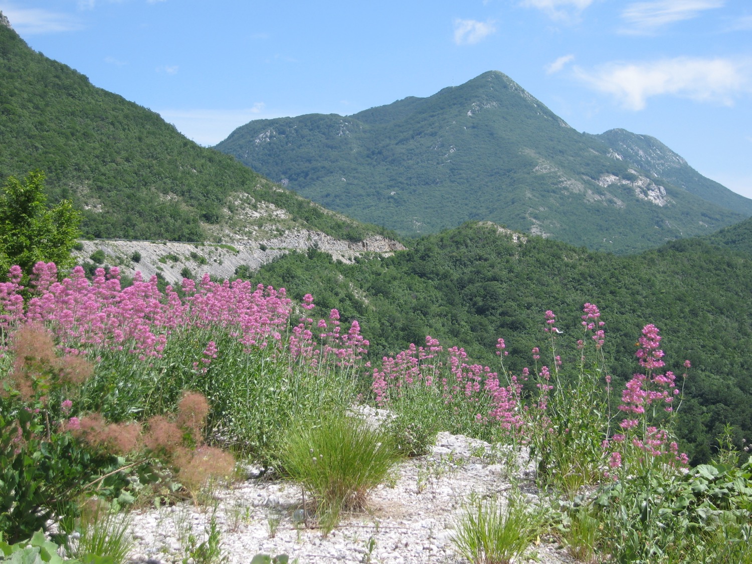 placeholder image-sq