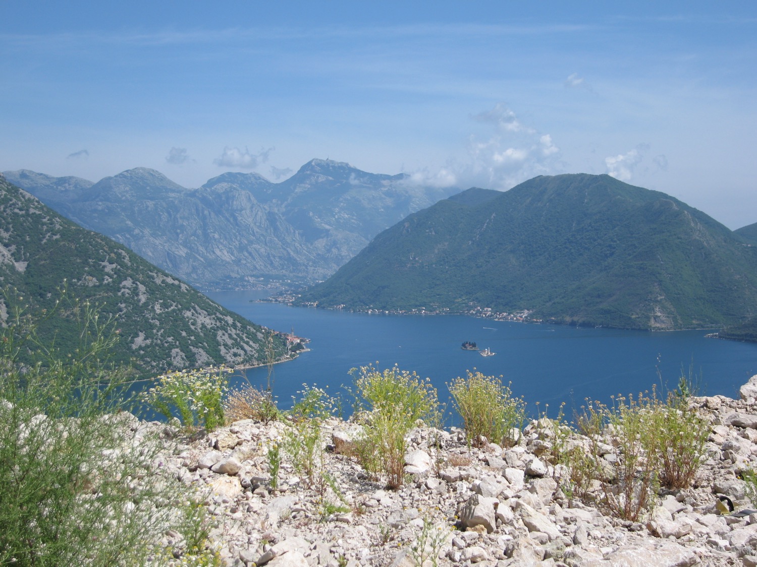 placeholder image-sq