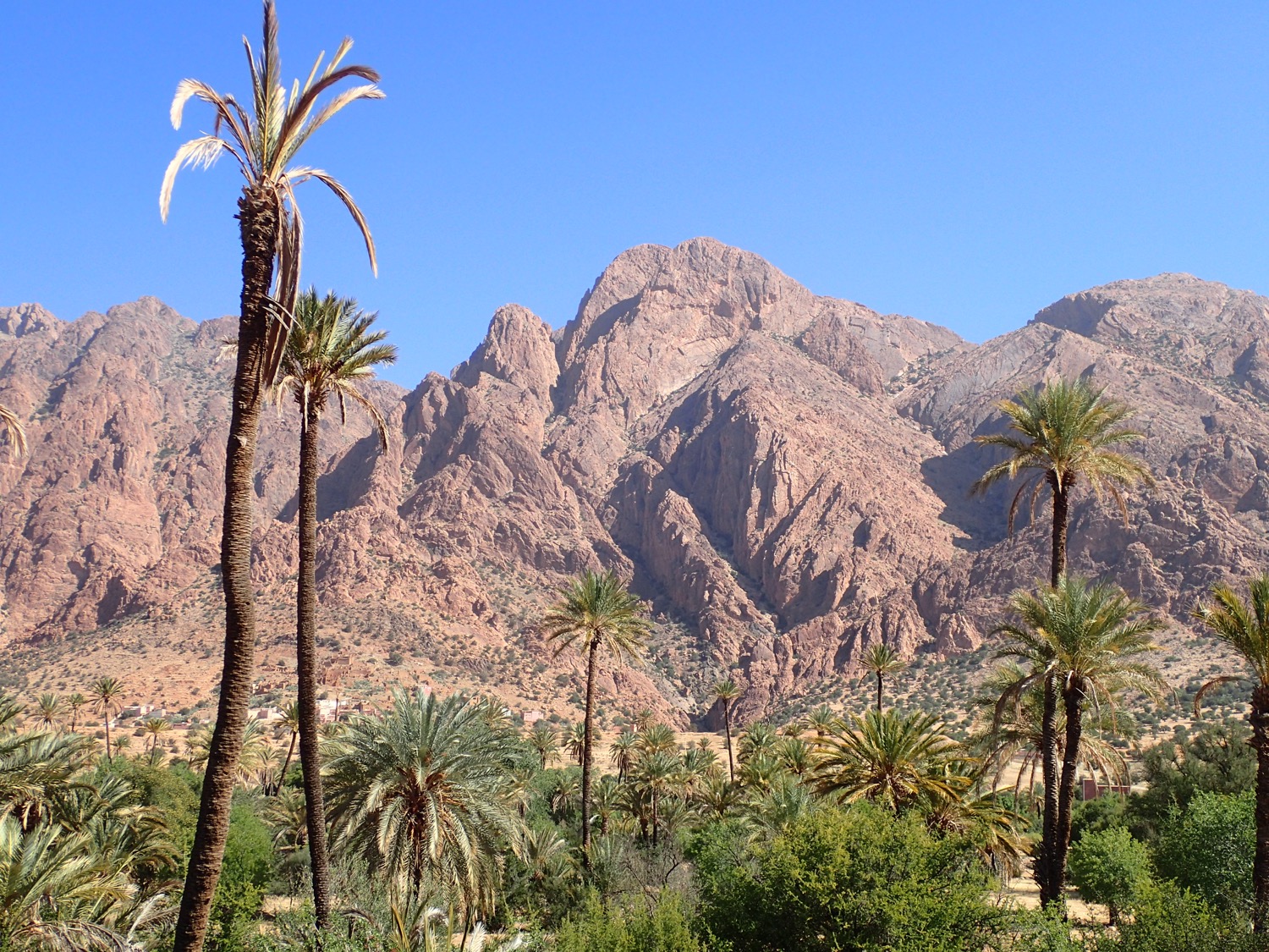 placeholder image-sq