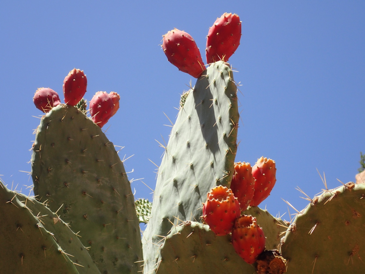 placeholder image-sq