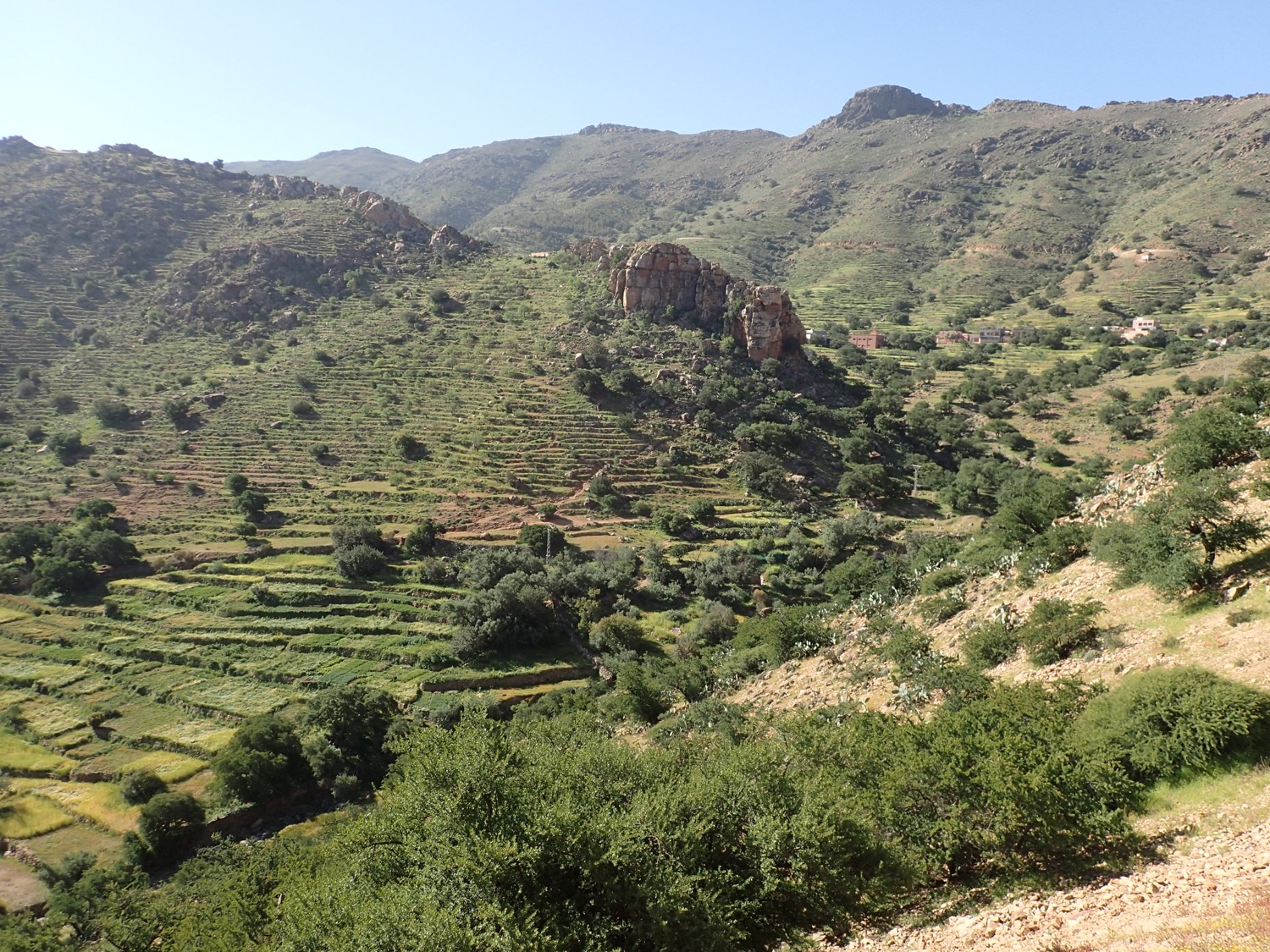 placeholder image-sq