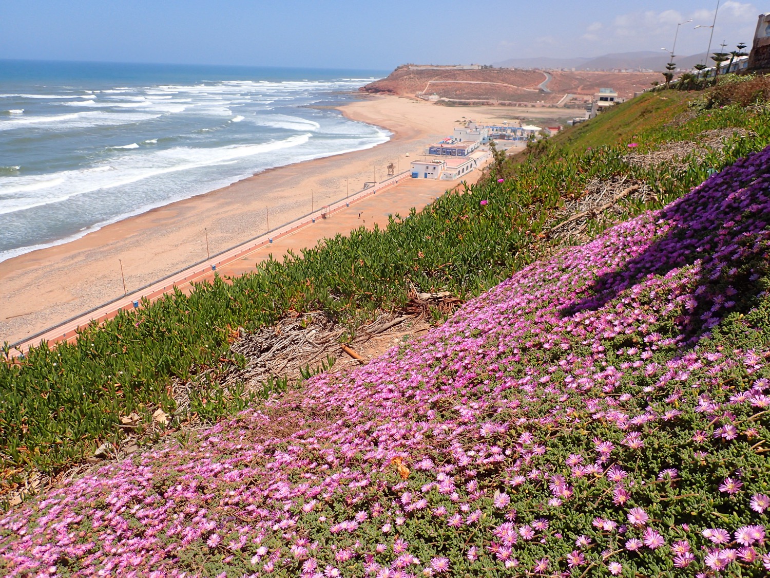 placeholder image-sq