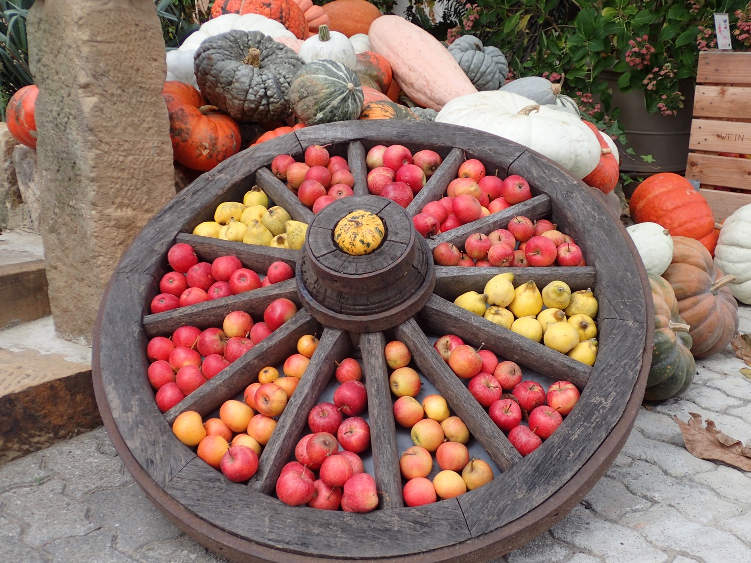 placeholder image-sq