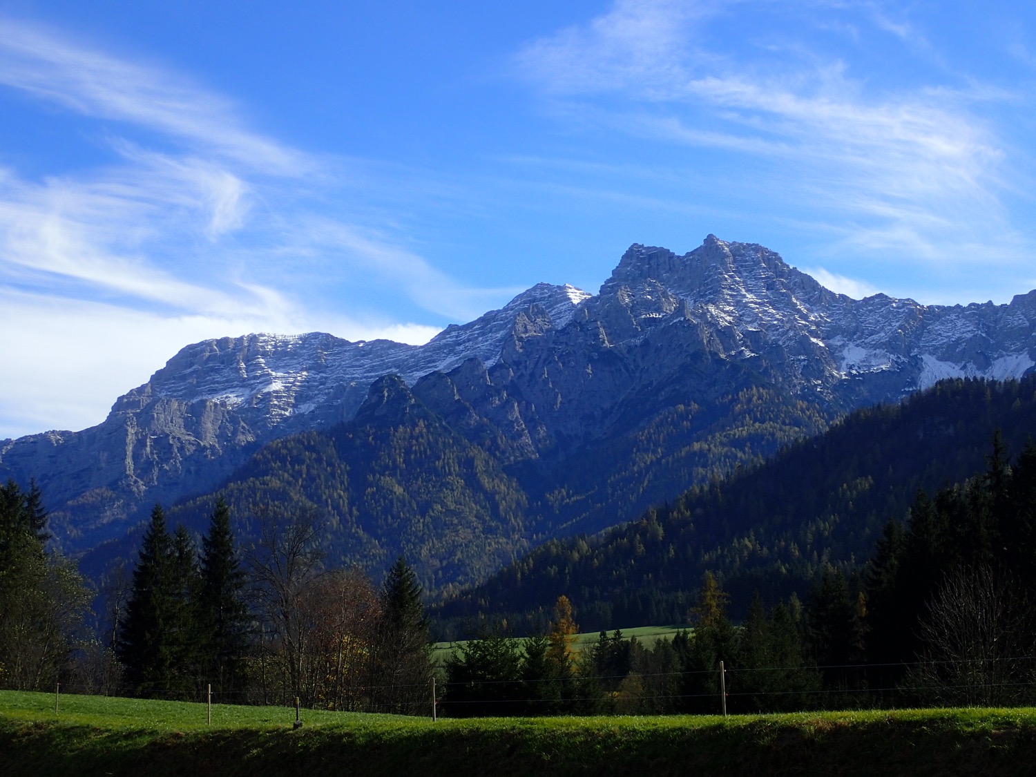 placeholder image-sq