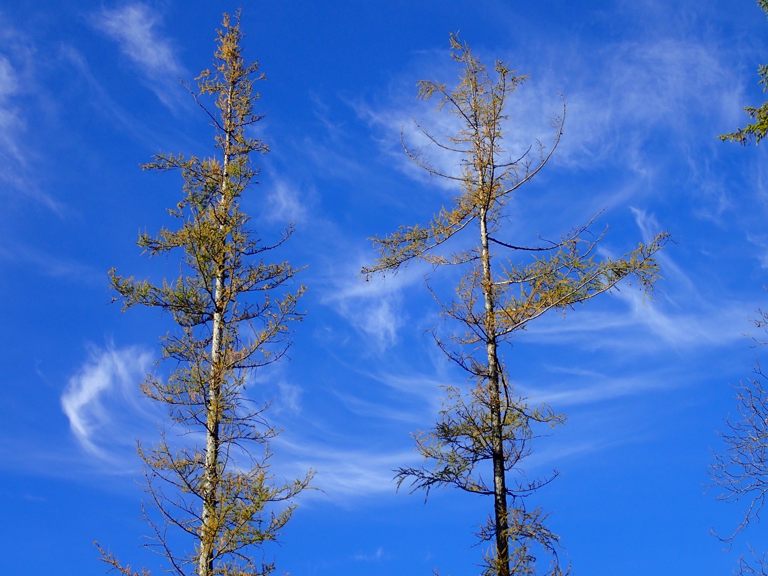 placeholder image-sq