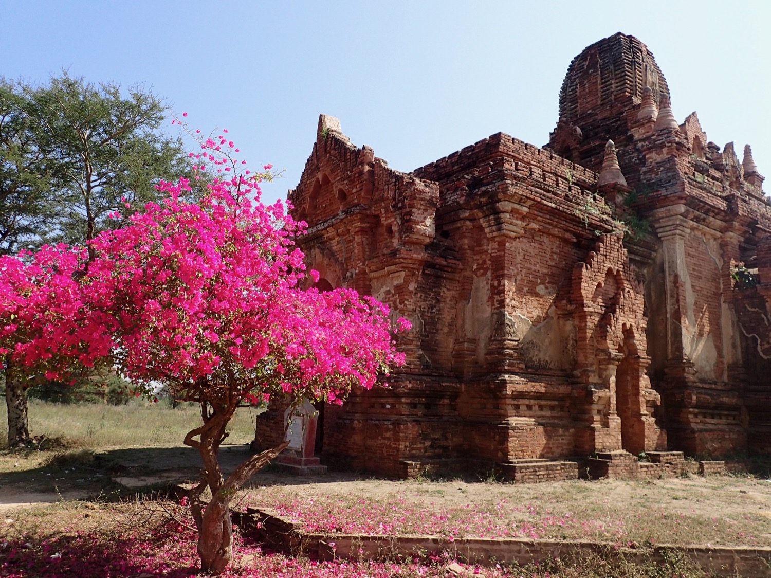 placeholder image-sq