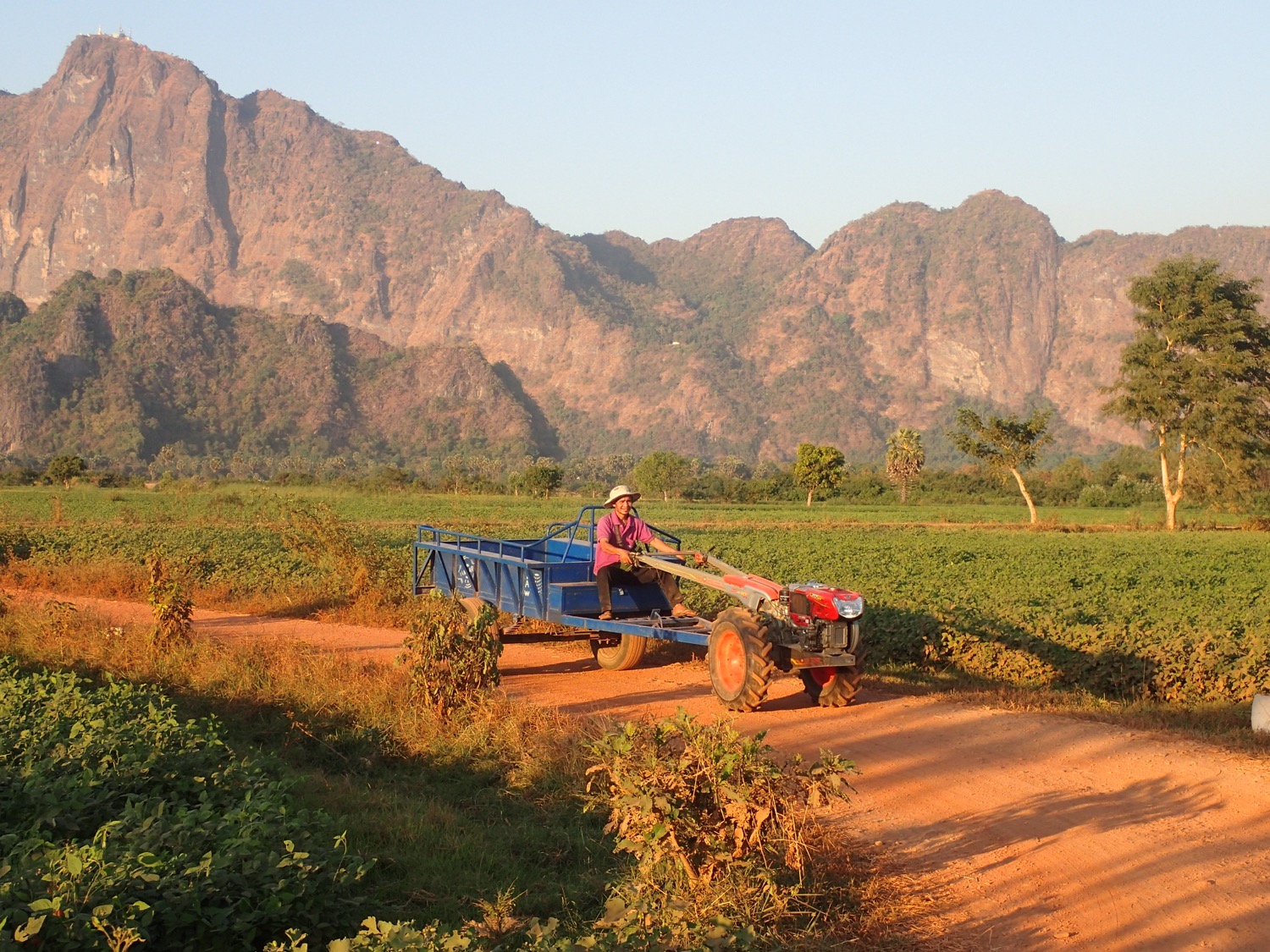 placeholder image-sq