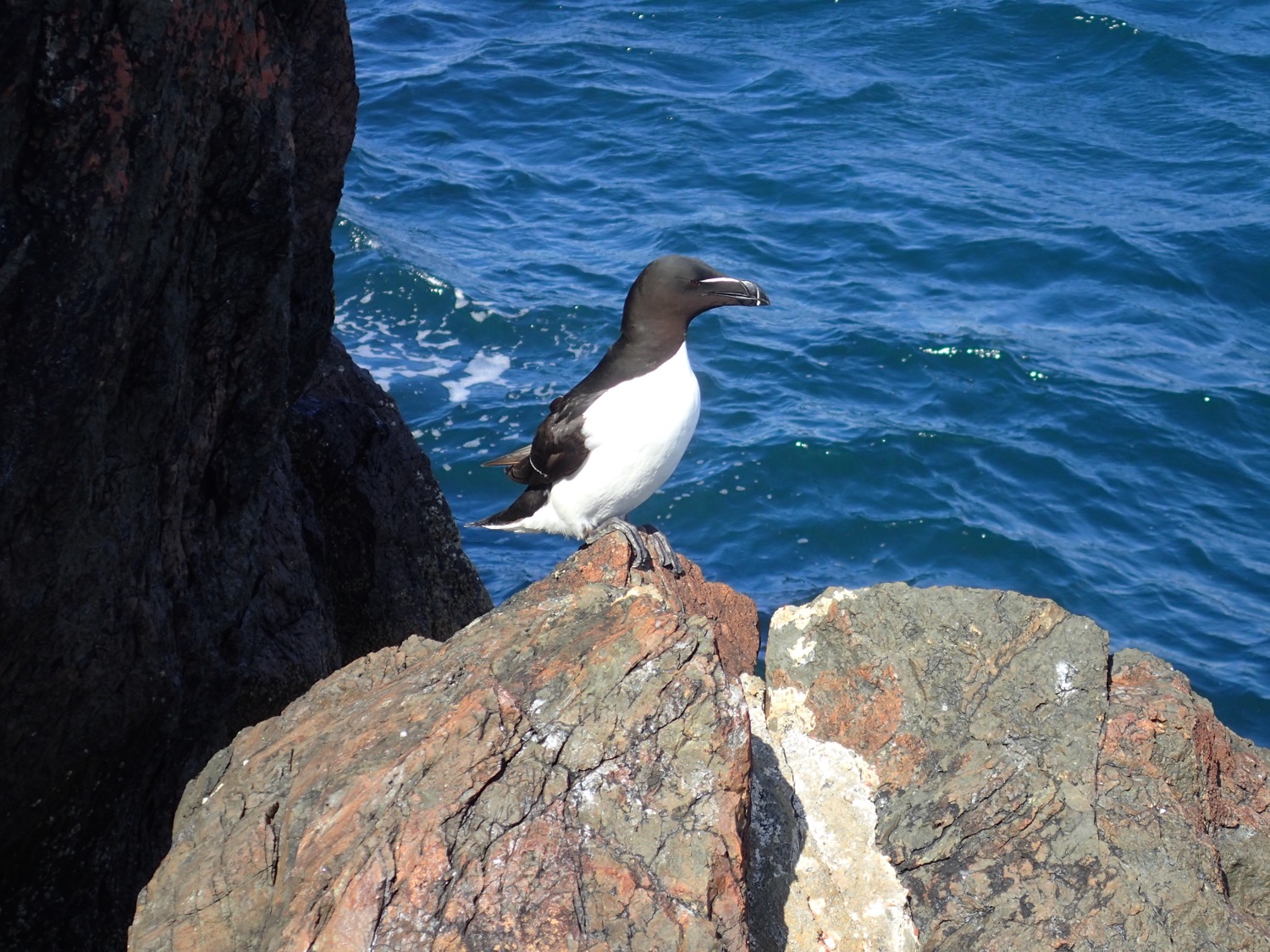 placeholder image-sq