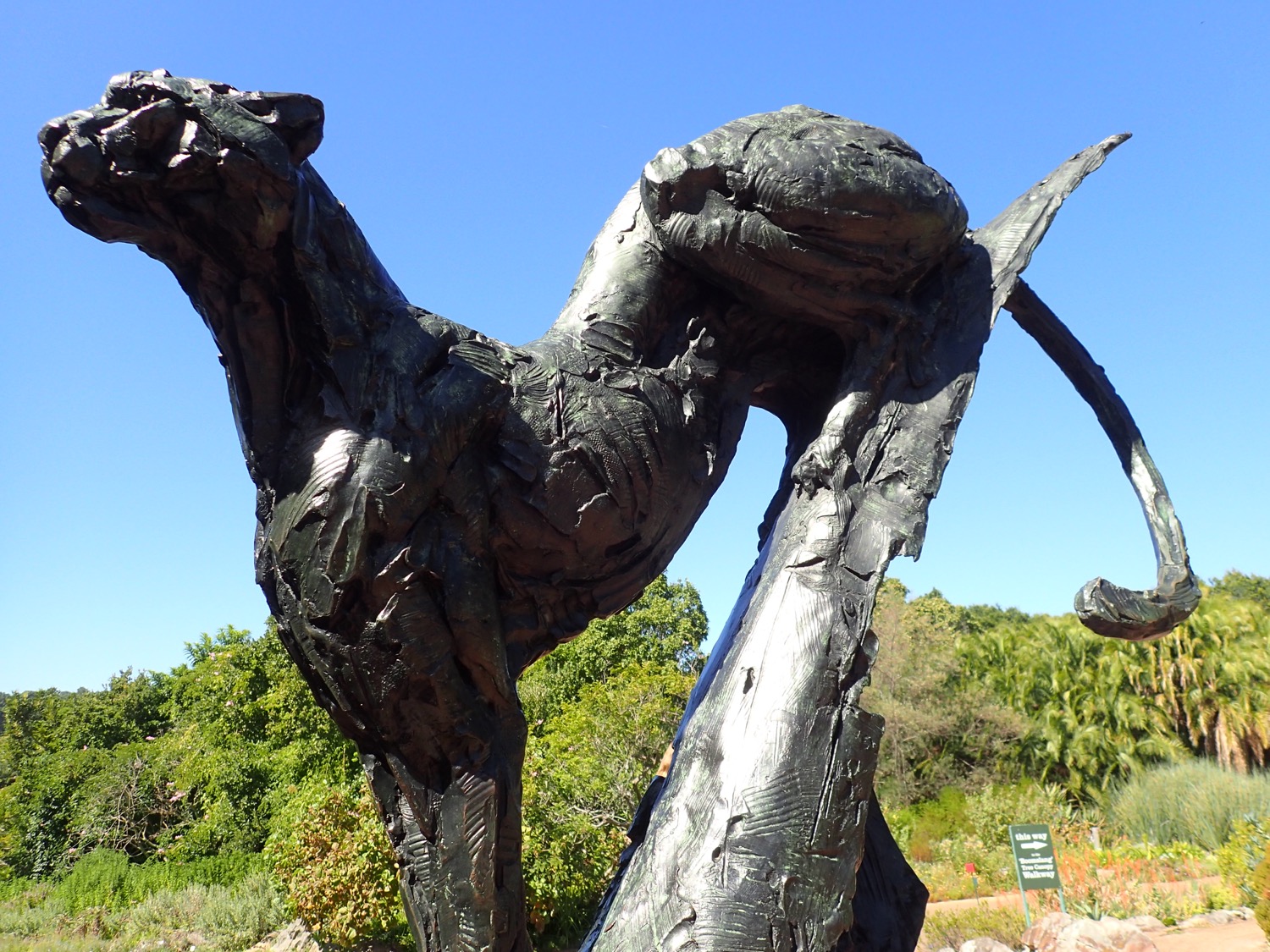 placeholder image-sq