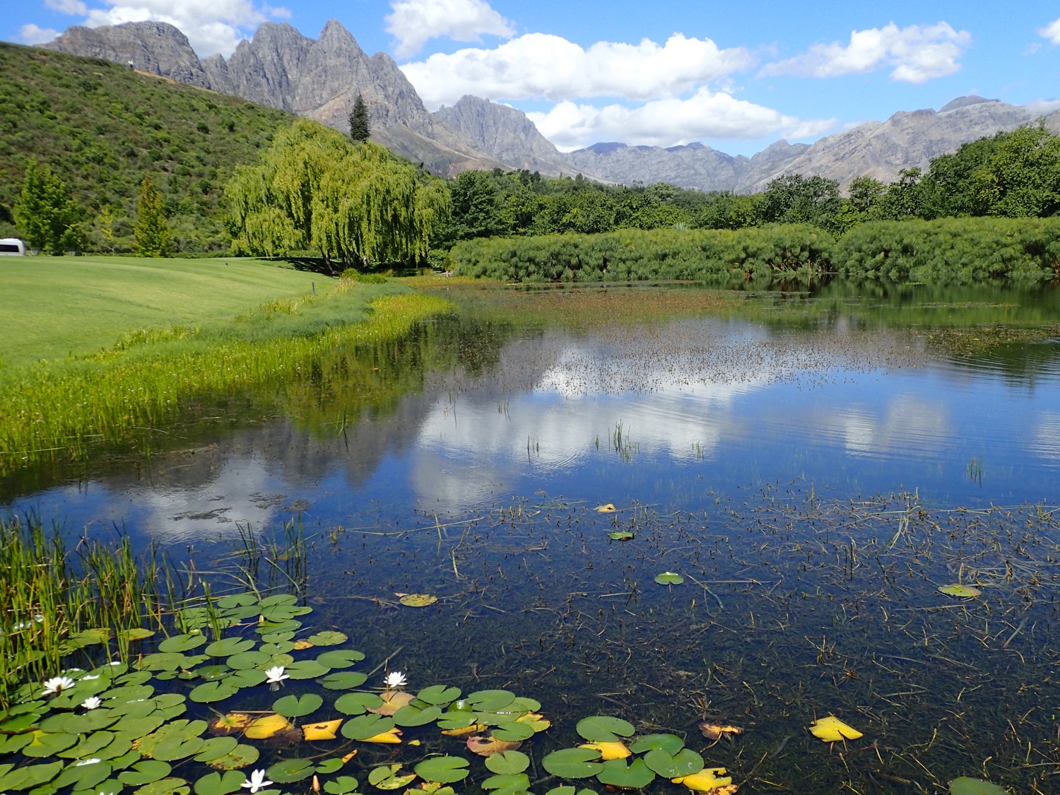 placeholder image-sq