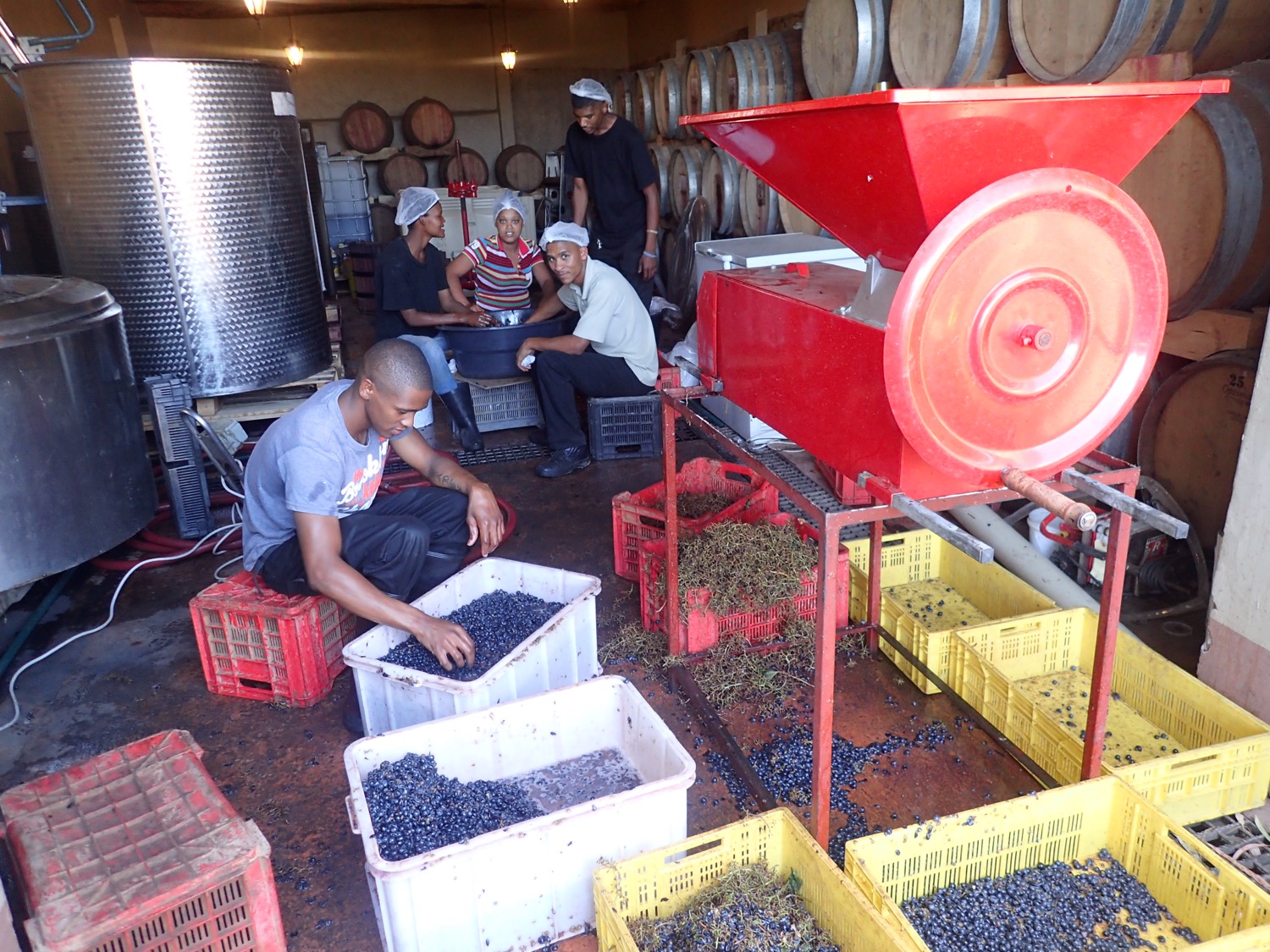 placeholder image-sq