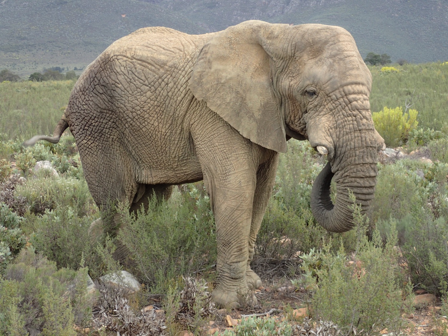 placeholder image-sq